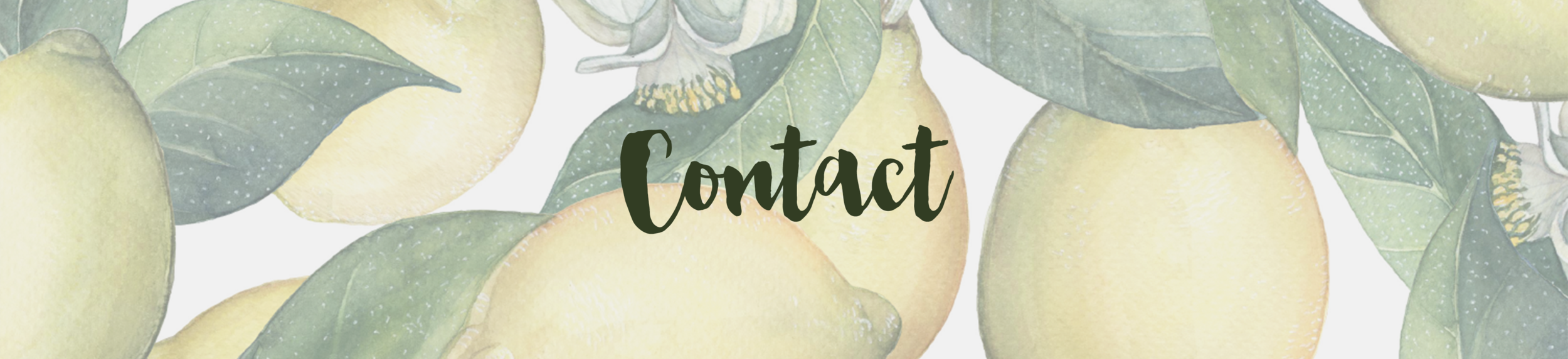 KBW_Contact.png