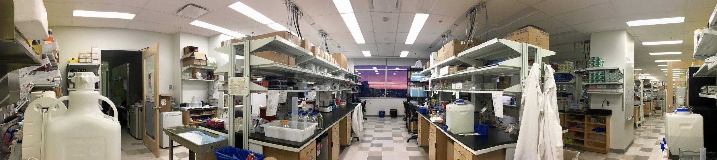 Kau Lab