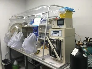 Anaerobic chamber