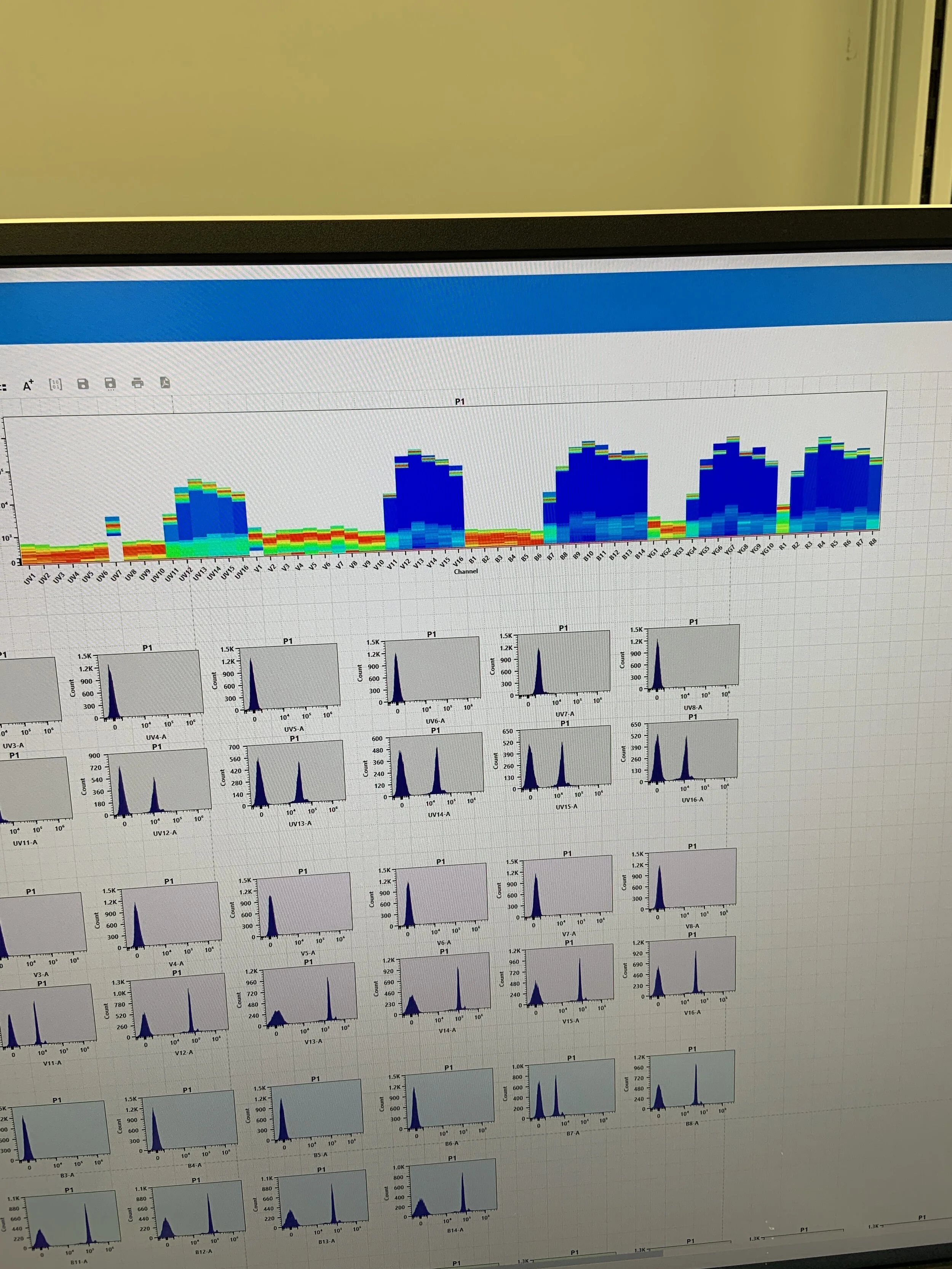  Aurora is our new favorite flow! 