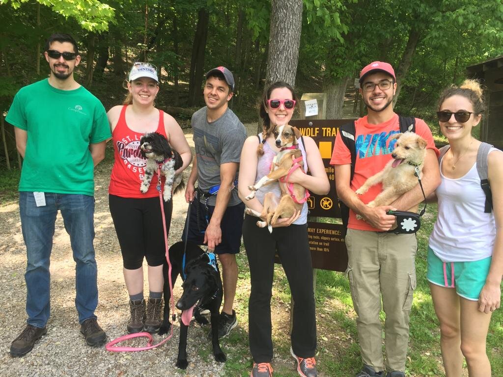 Pup walk