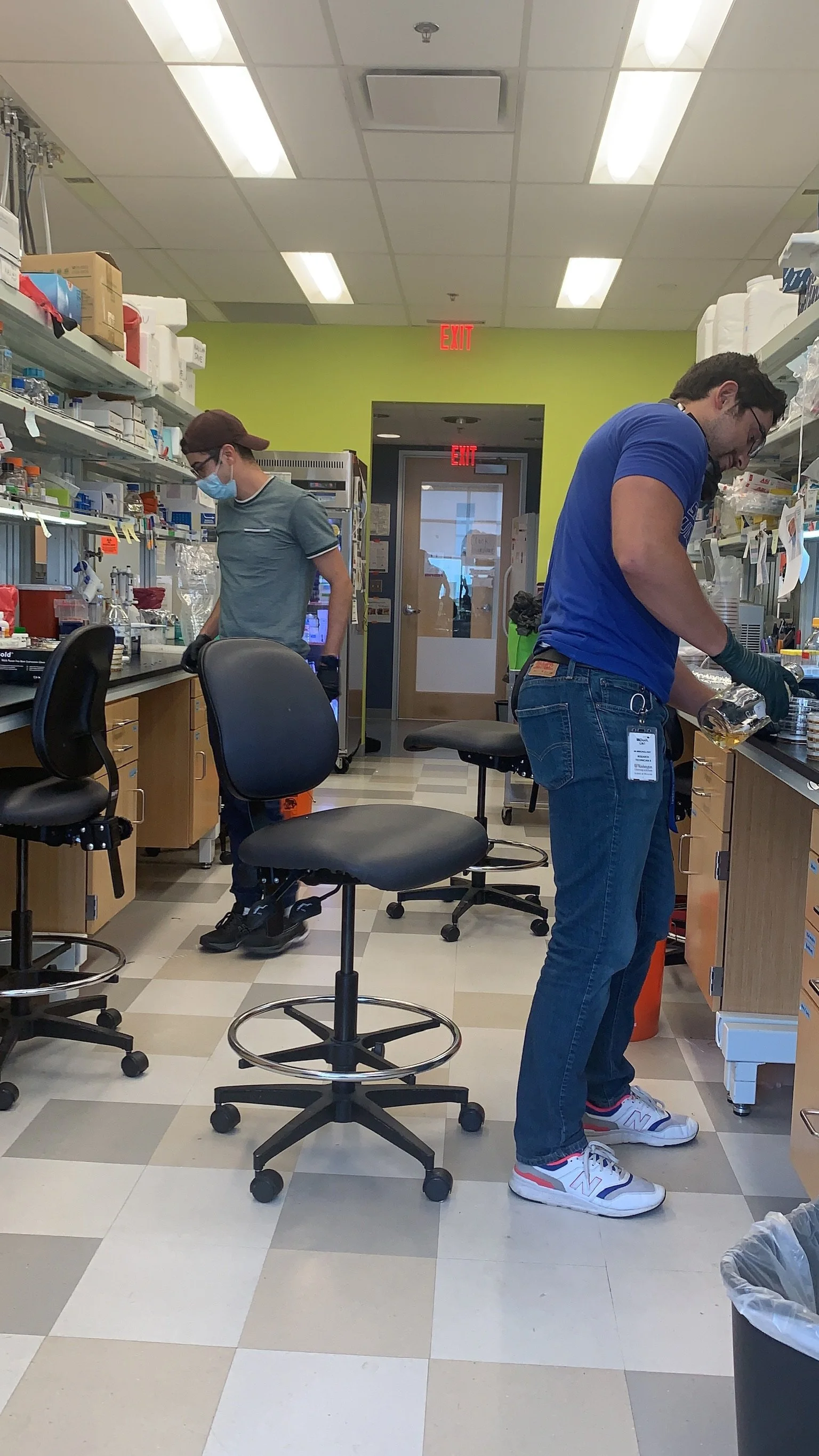 Who will win this plate pouring competition?