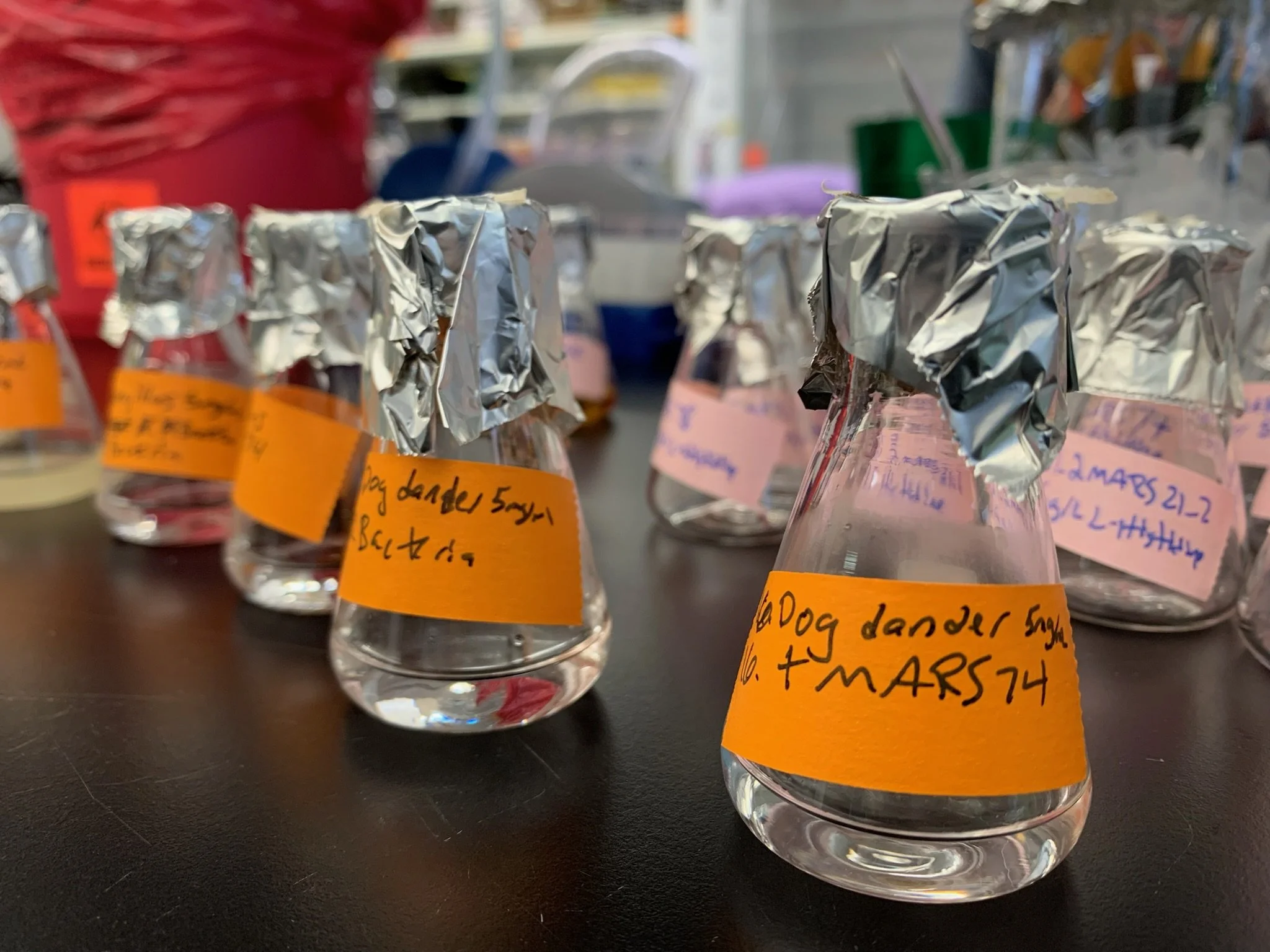 A fleet of baby flasks