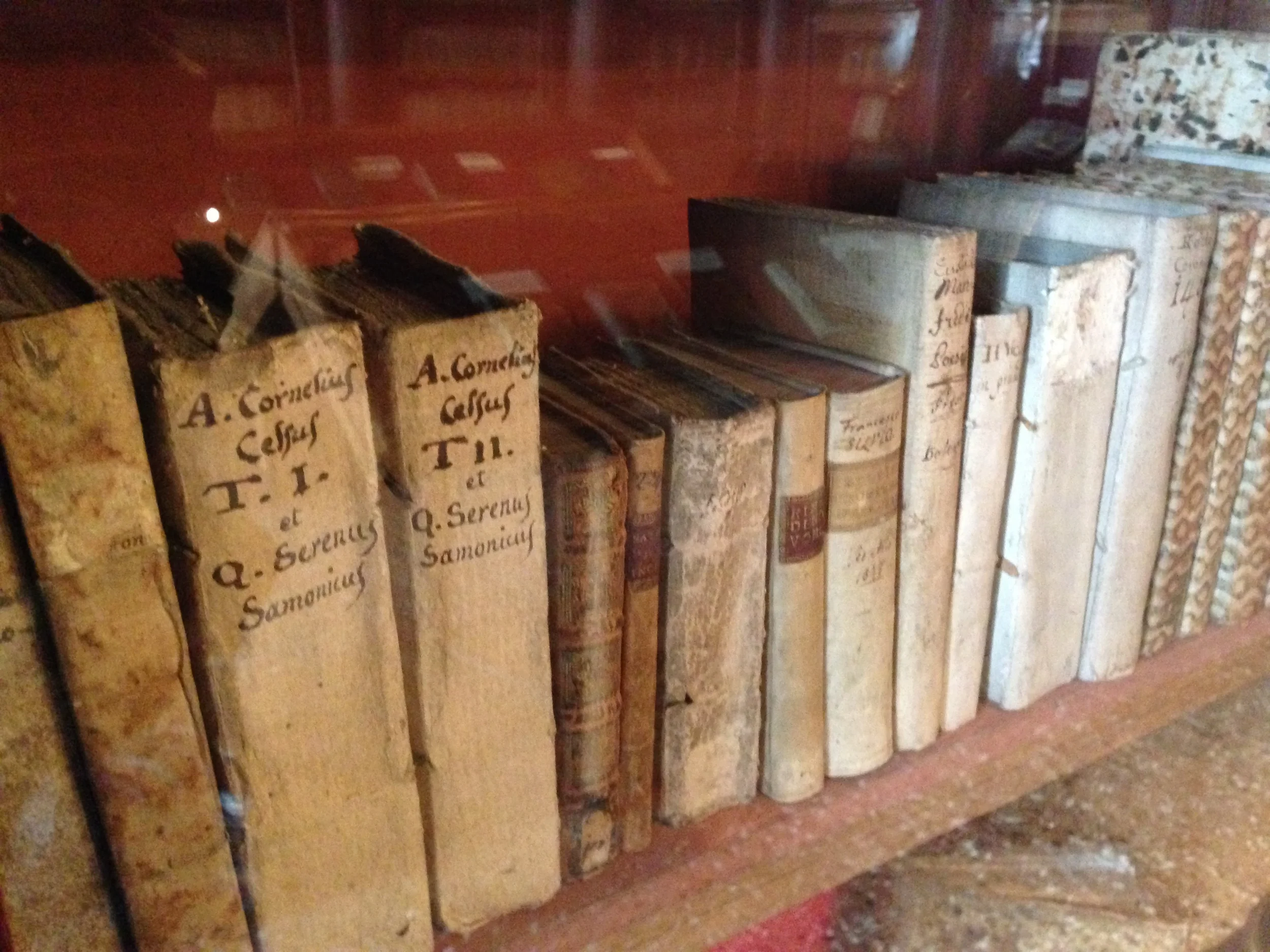 I wonder who was the last person to read these books?