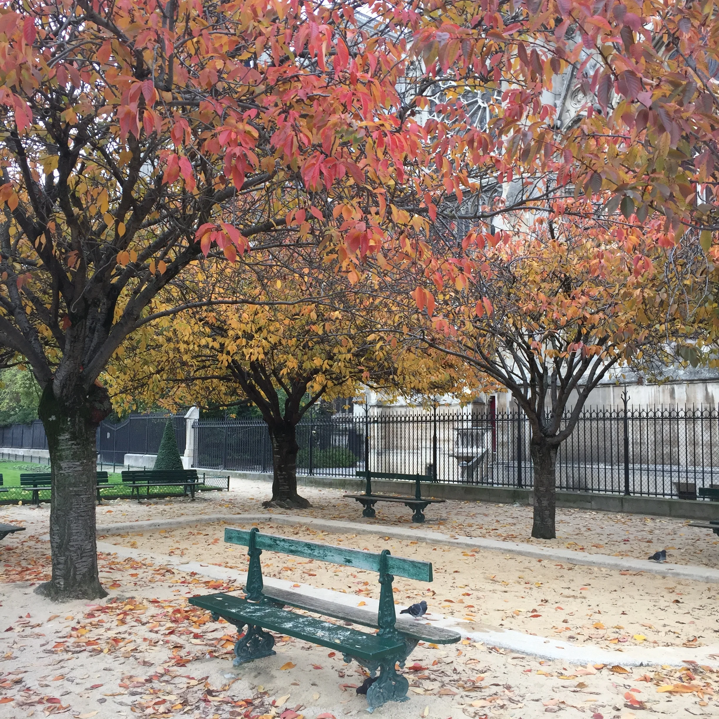 Fall in Paris = Absolutely beautiful!