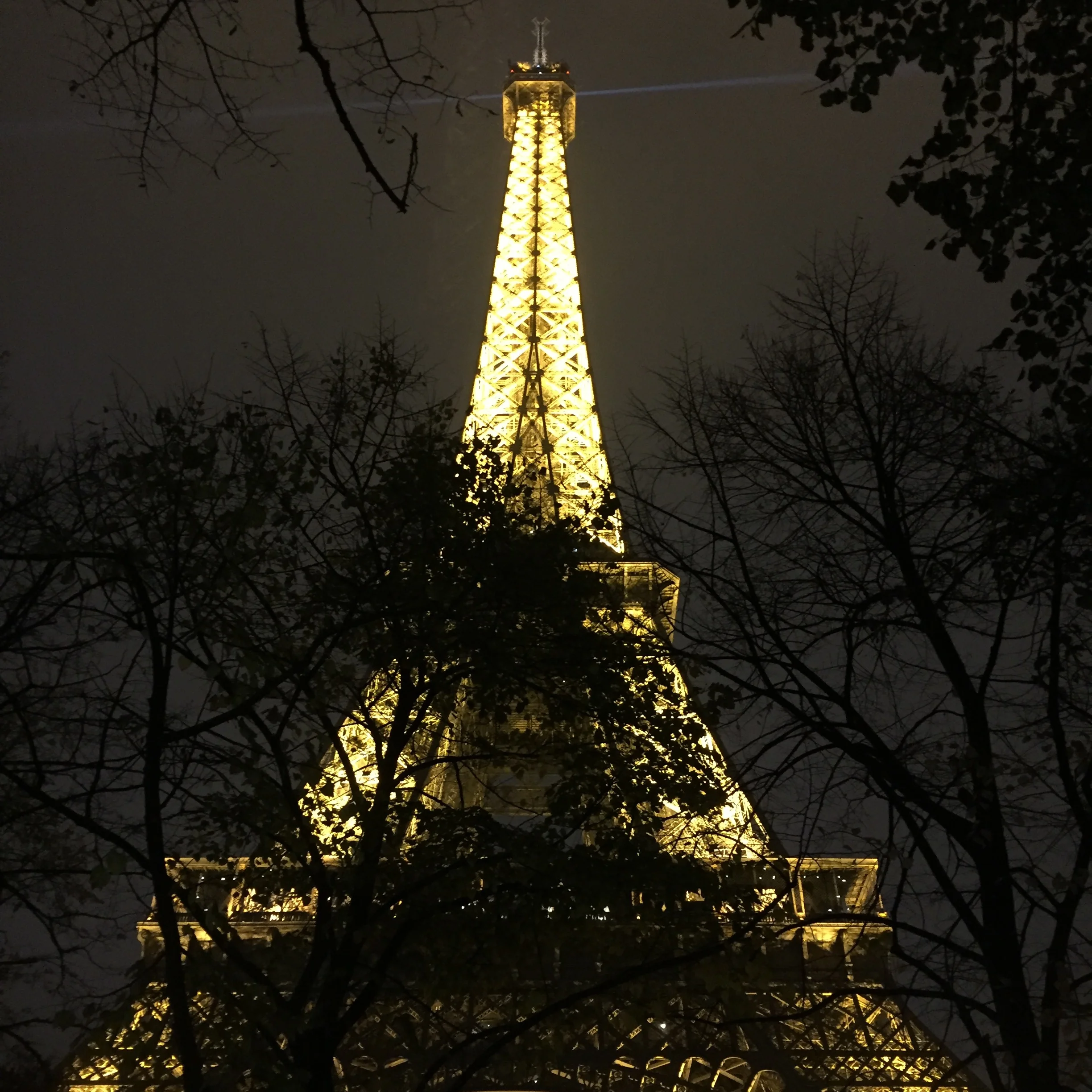I love this picture because I like the dark silhouettes of the trees infront of the golden Eiffel Tower.