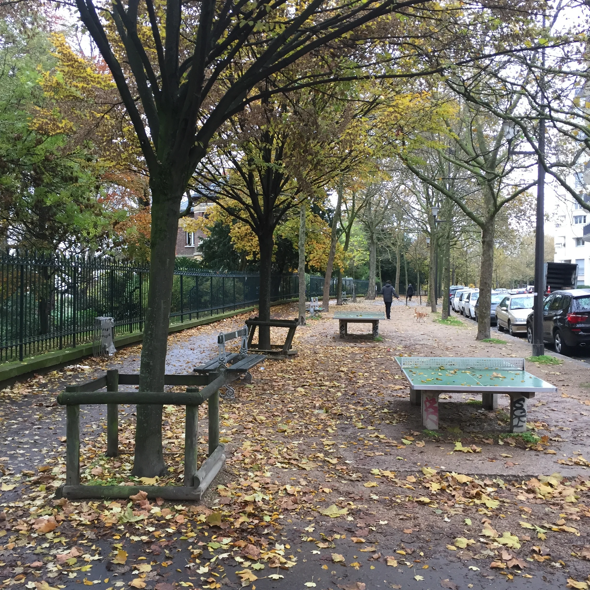 Autumn views, on our walk to the park.