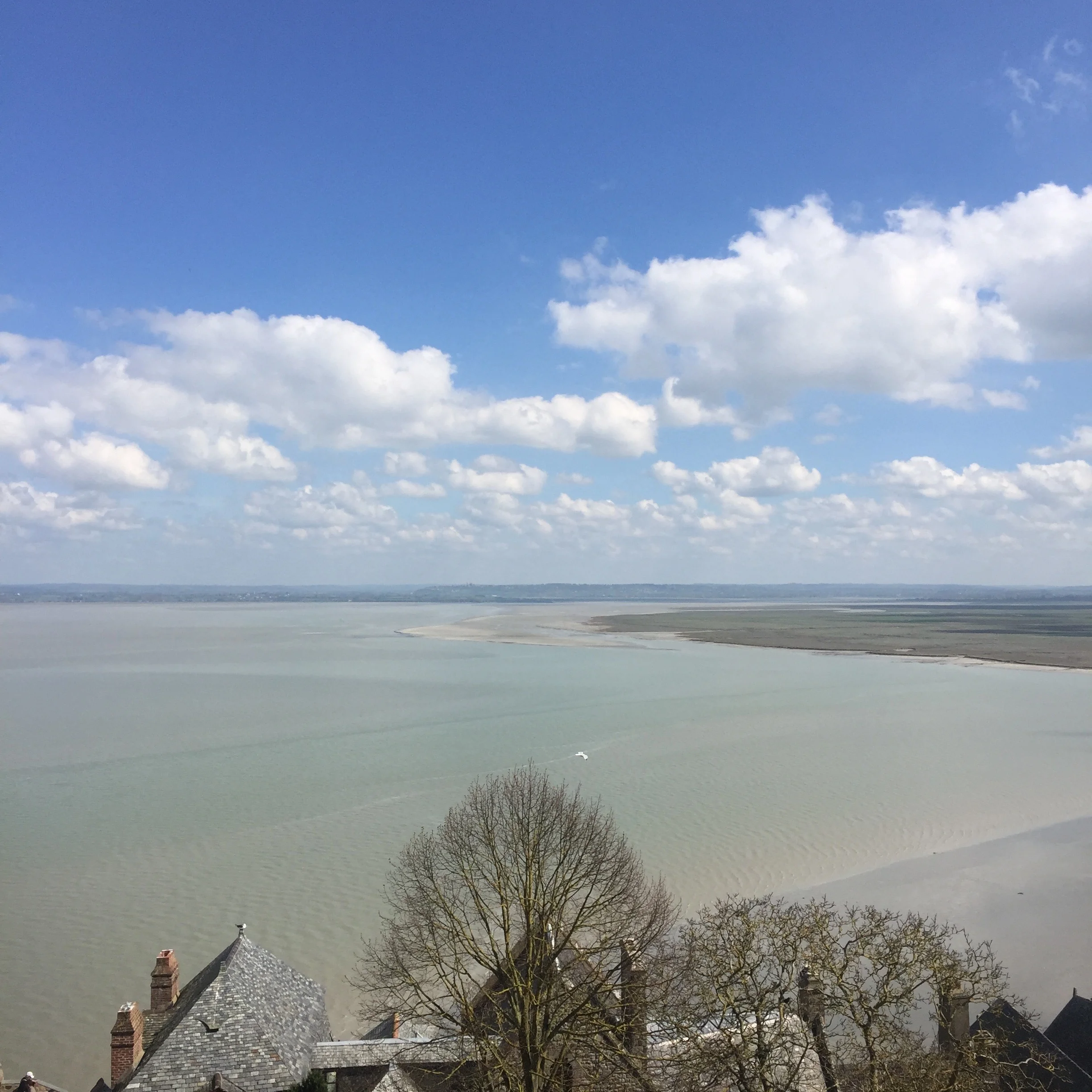 Such a gorgeous day!