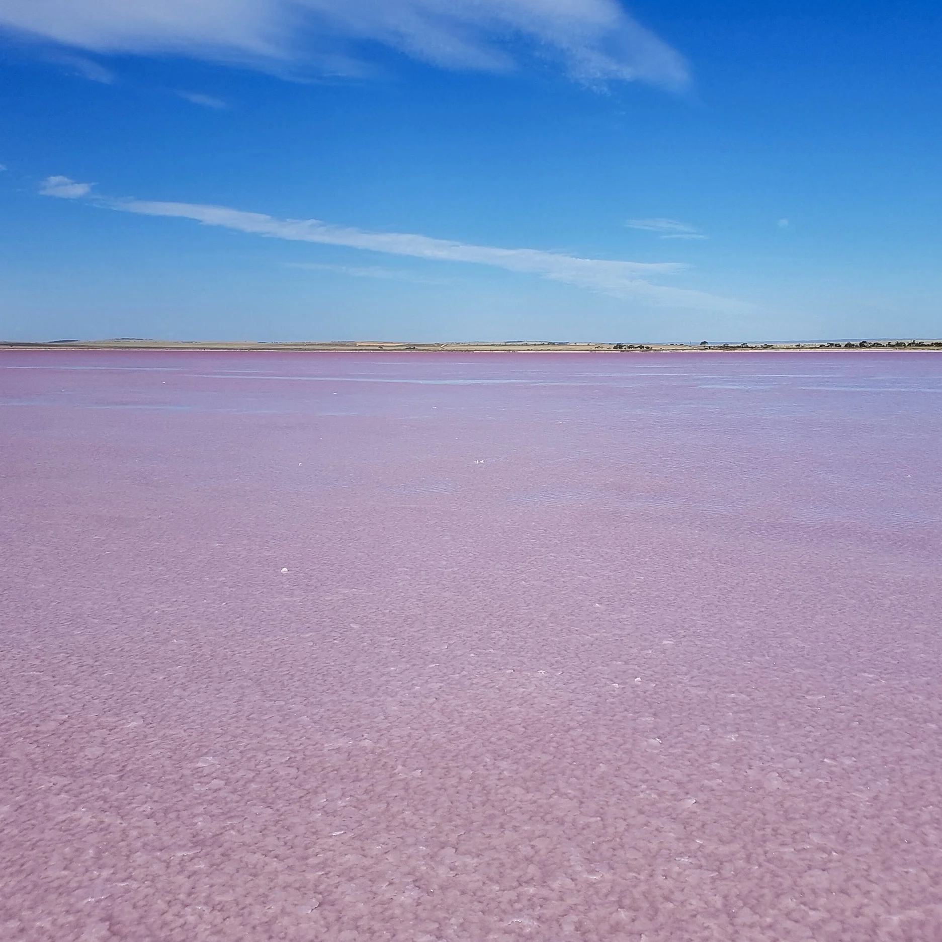 Photo is taken by Di (@dijana969) from their blog on Steemit. Click here to read about their successful visit to the lake Bumbunga and details on how the lake gets its color.