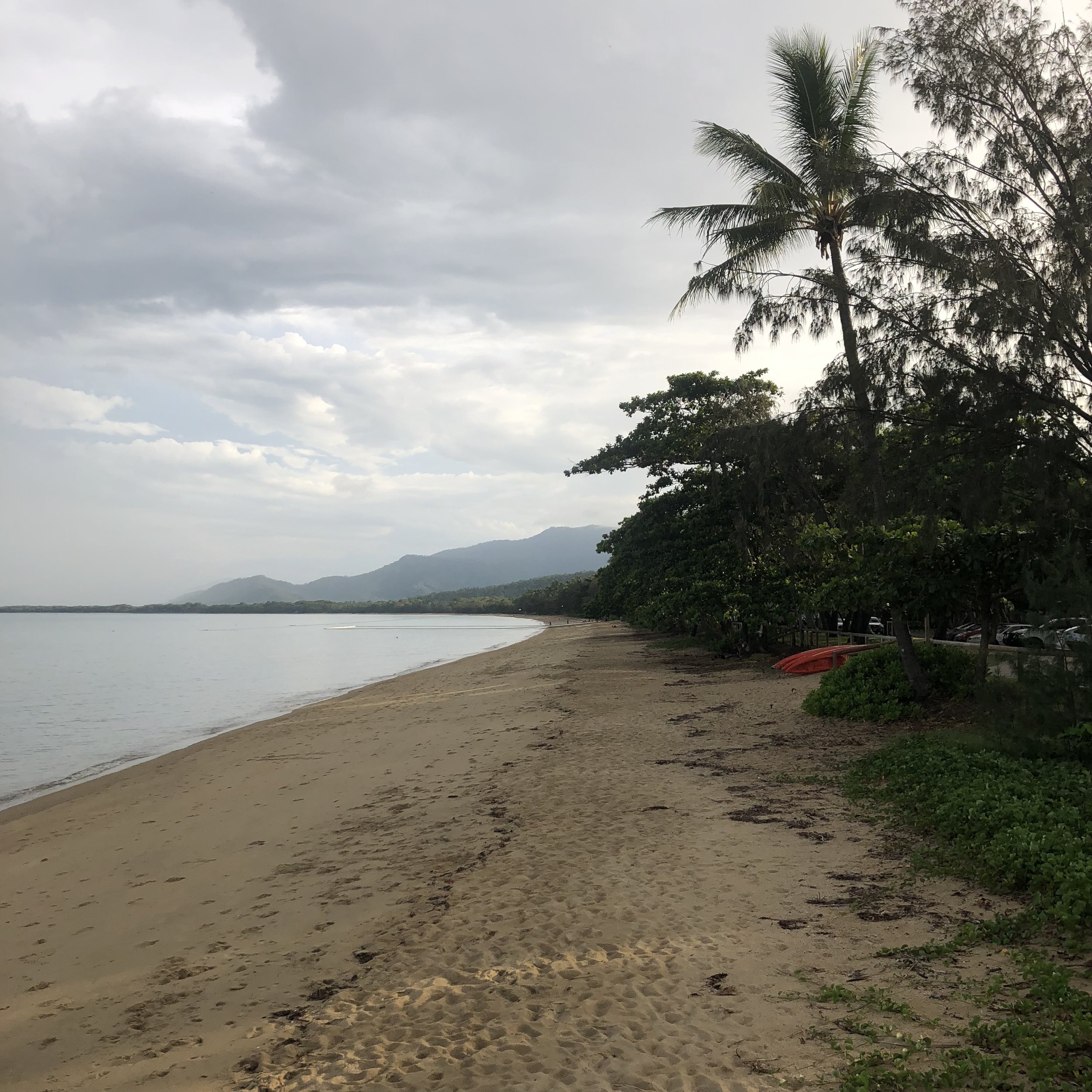  Palm trees line the shore line. 