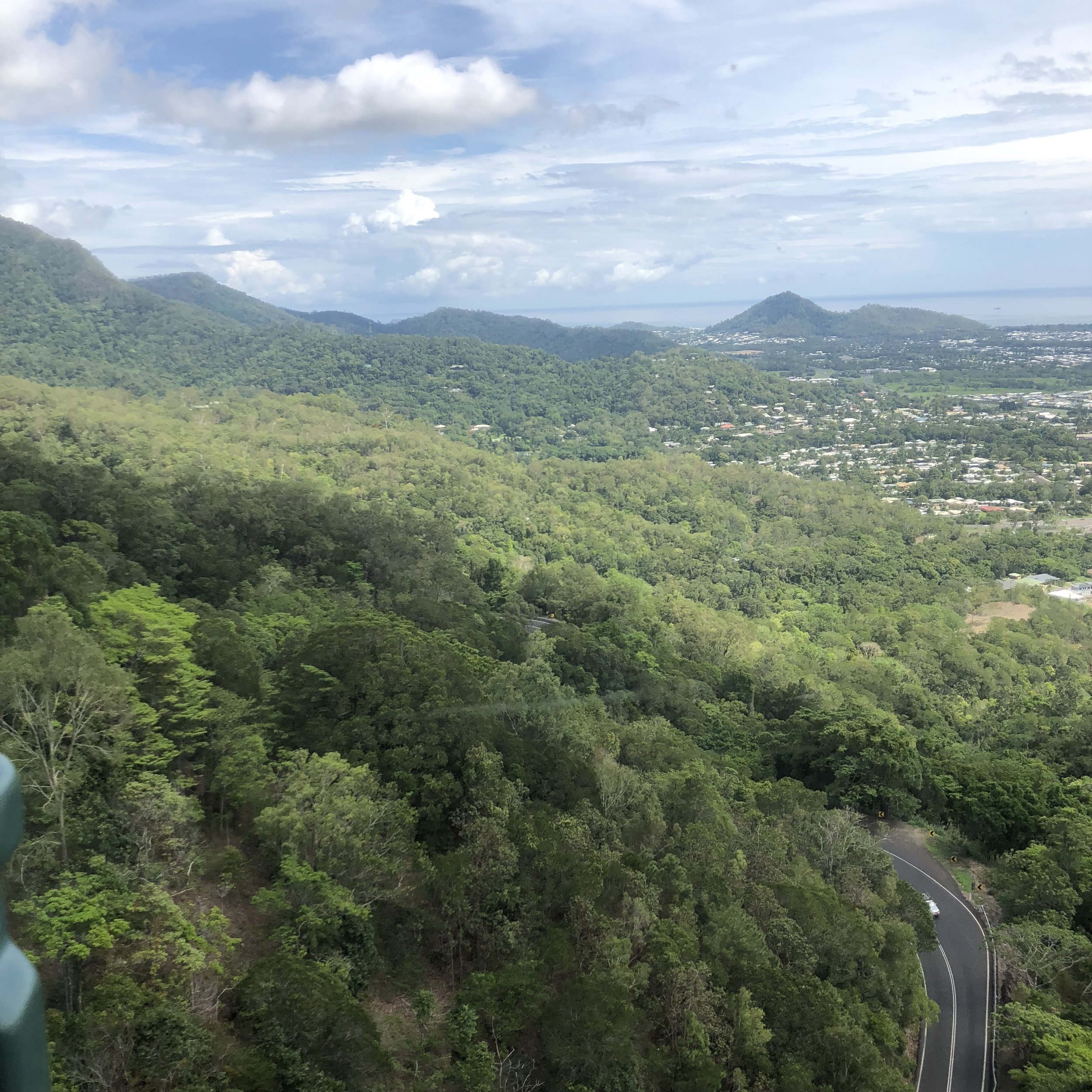  Views from above, on the skyrail! 