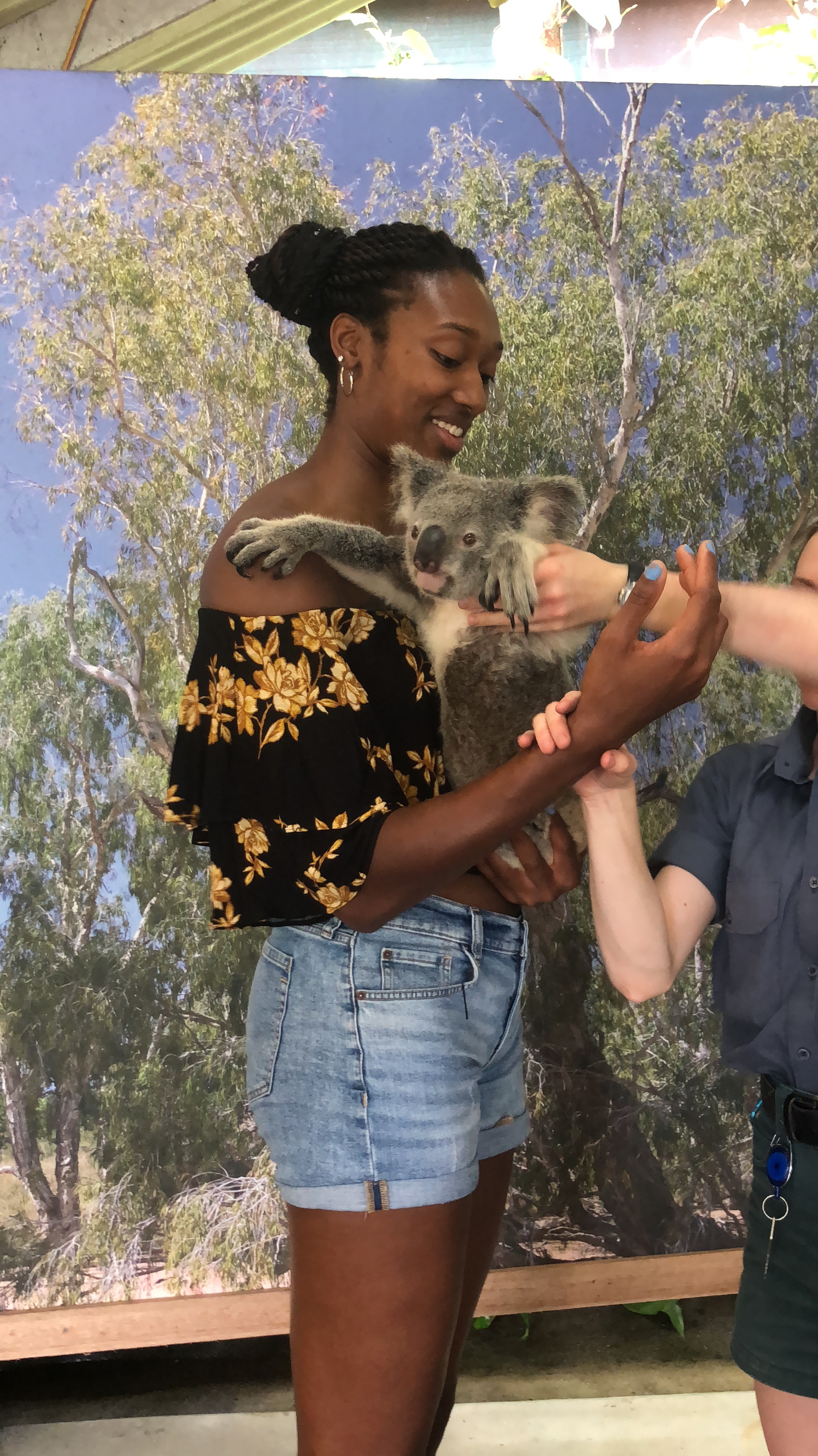  Ahhhh, I am about to hold a Koala Bear!! 