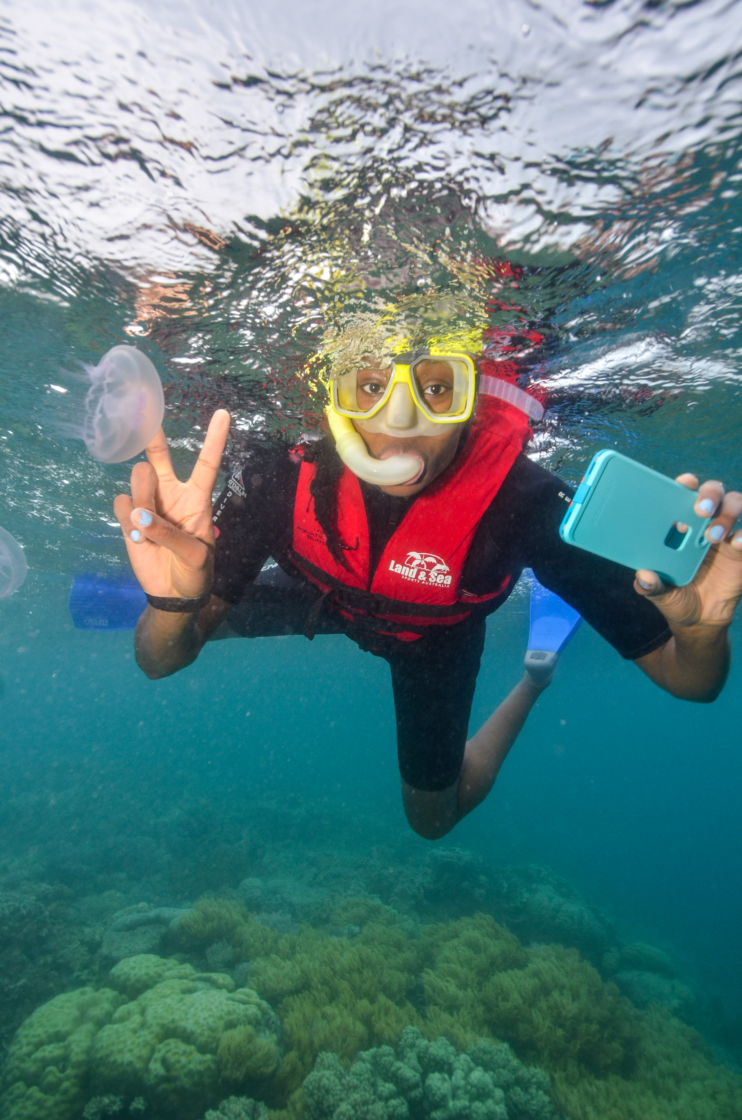  Swimming with jelly fish! 