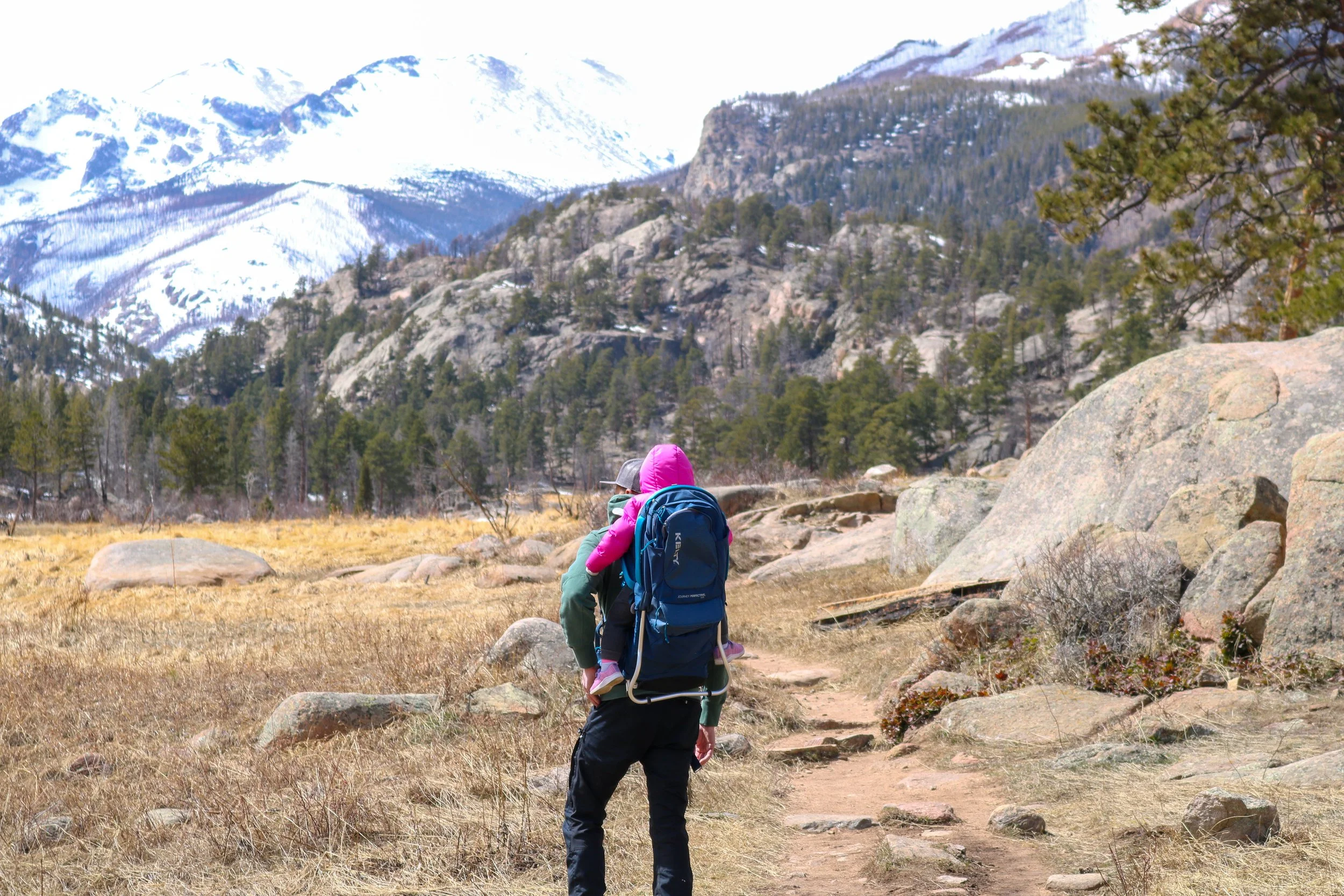 Remote Work from an Air Bnb; Estes Park and Rocky Mountain NP