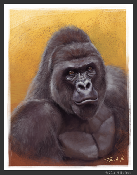 personalwork_nW05.png