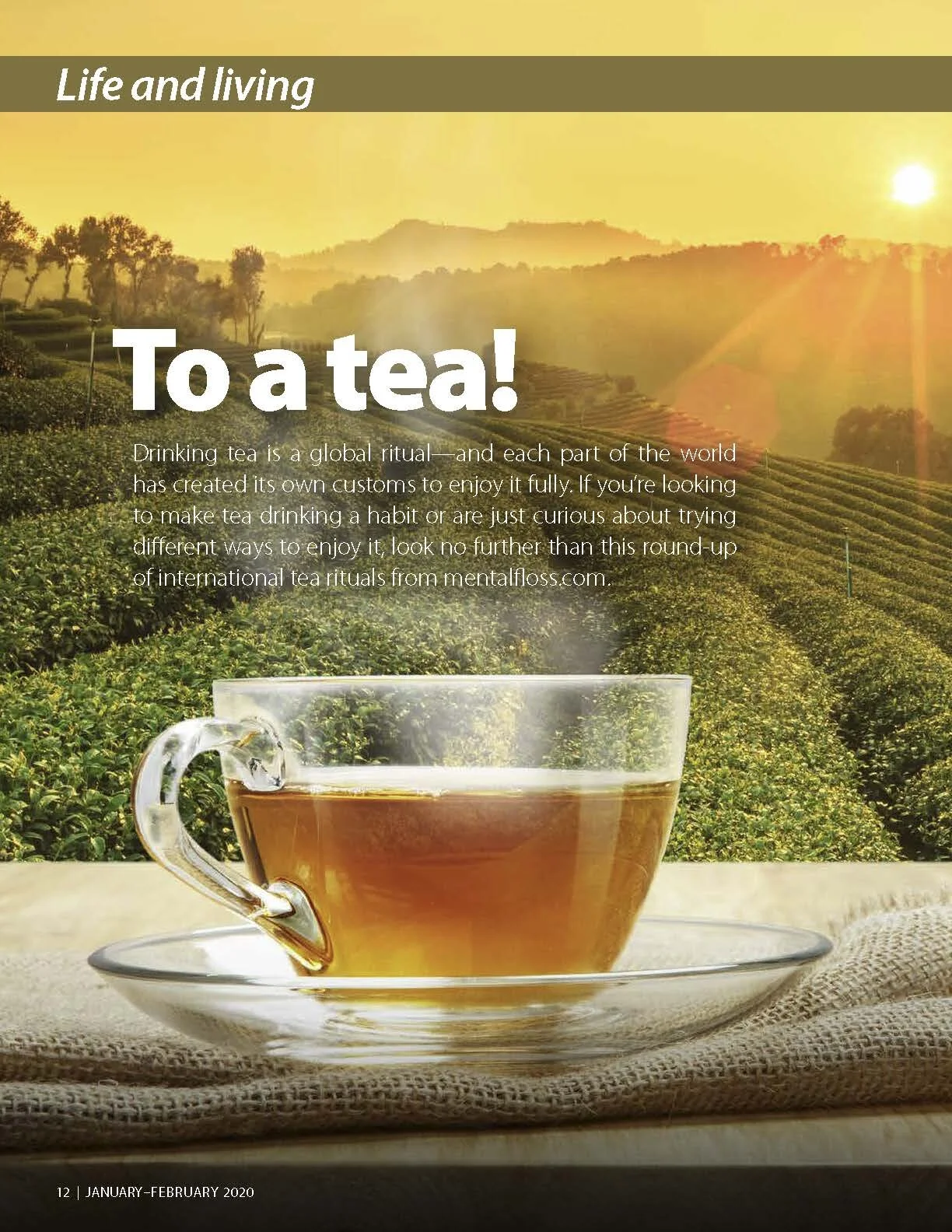 Life and living - to a tea!
