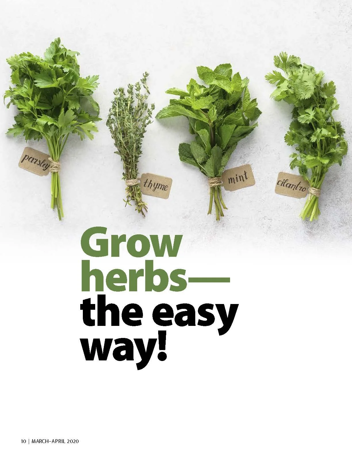 Grow herbs - the easy way!