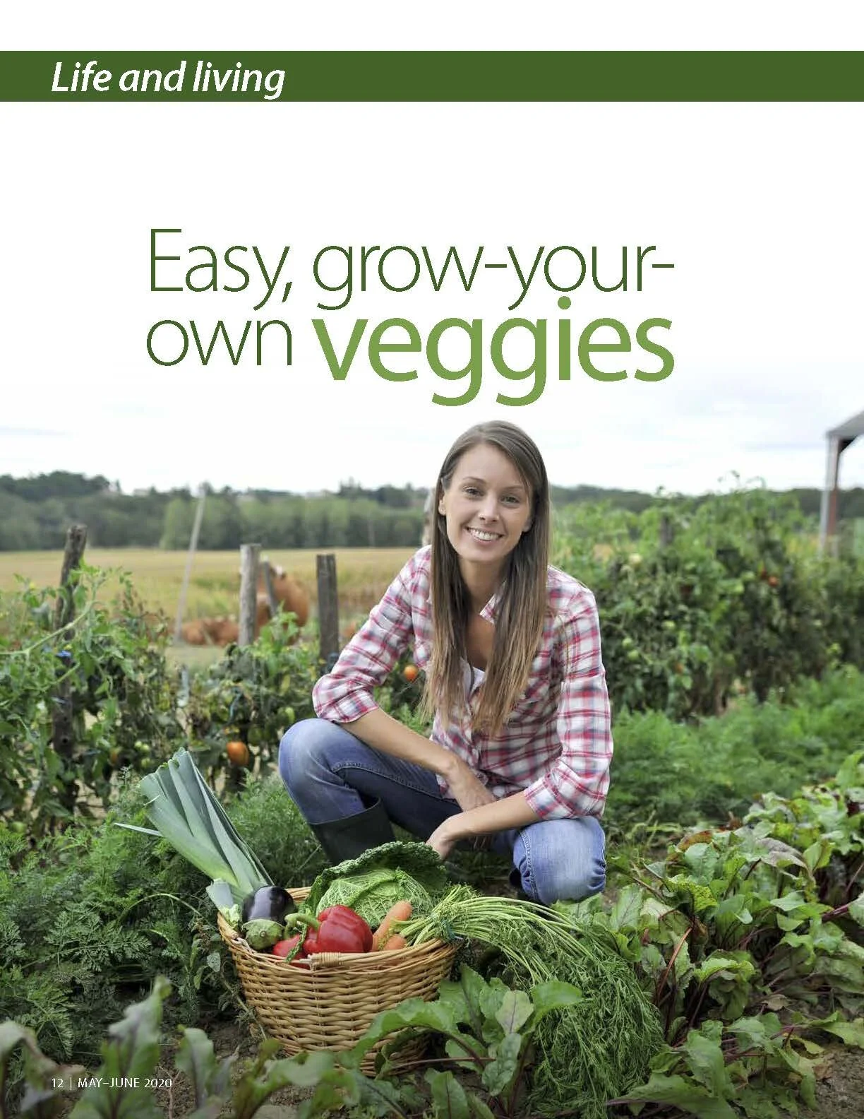 Easy grow-your-own veggies
