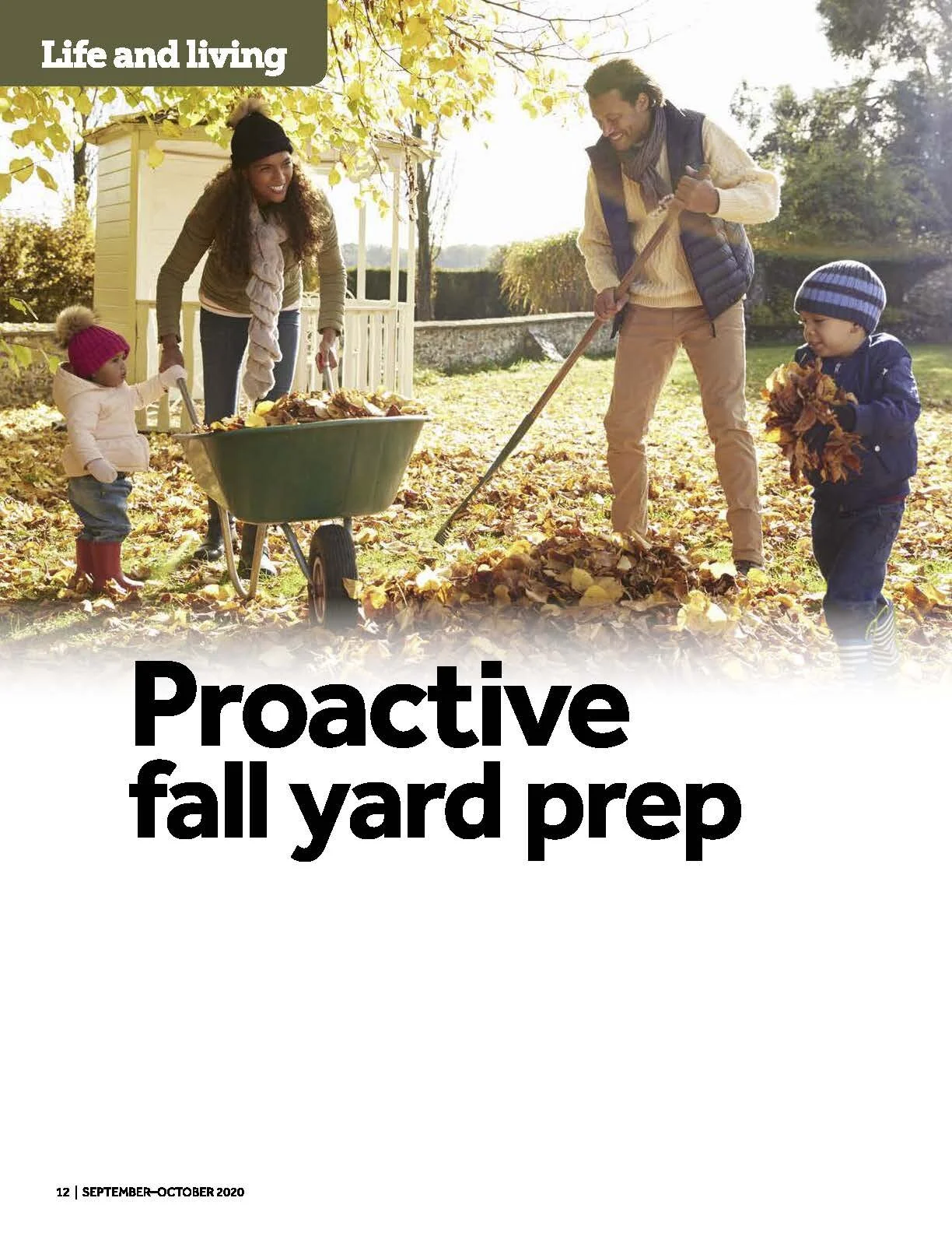 Proactive fall yard prep