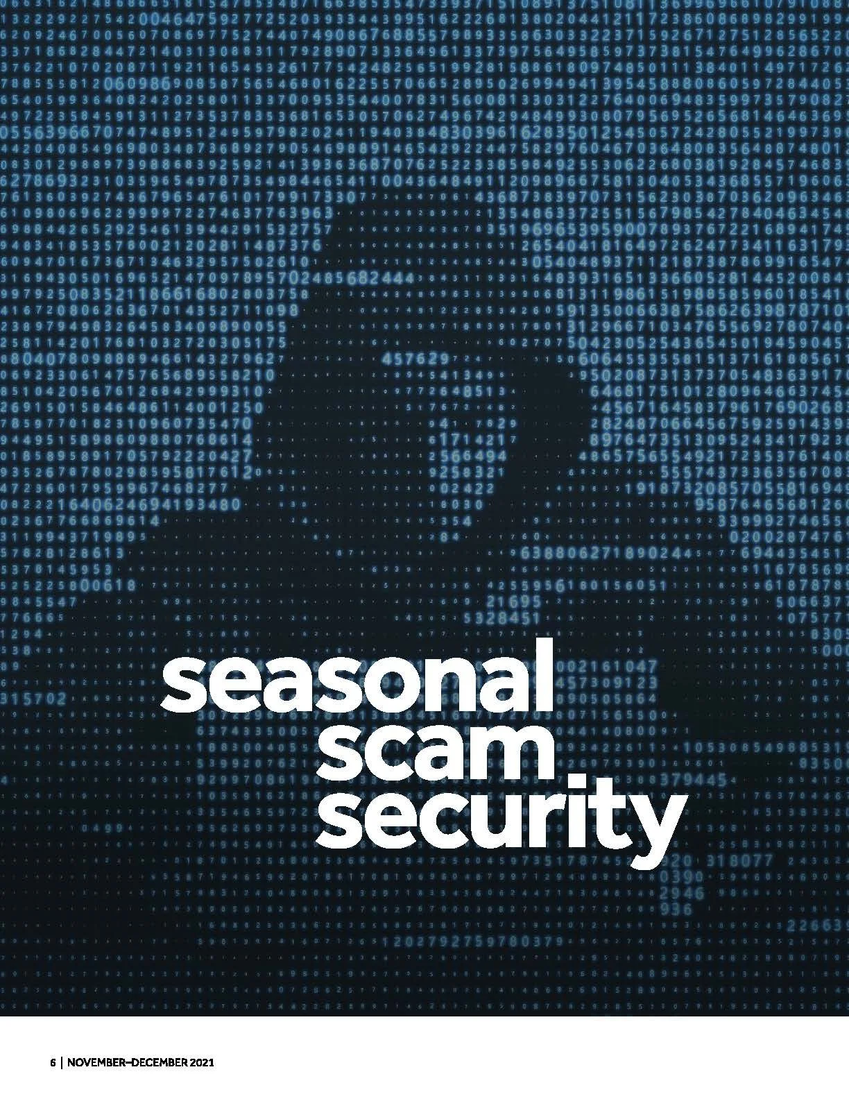 Seasonal scam security