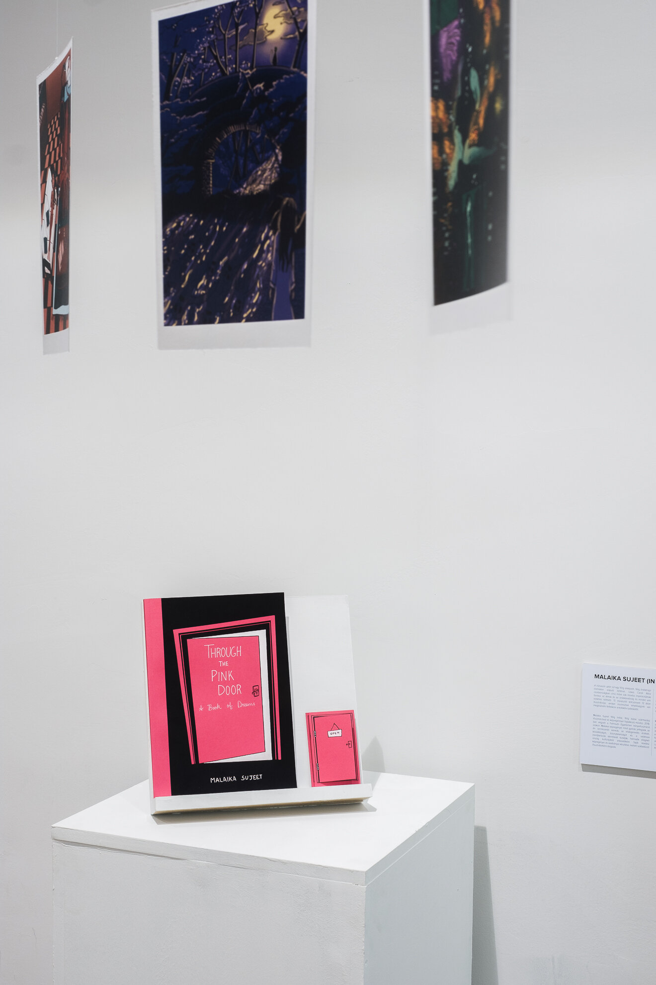   Through the Pink Door – A Book of Dreams,  2019, Book and Installation, 21 x 29.7 cm 