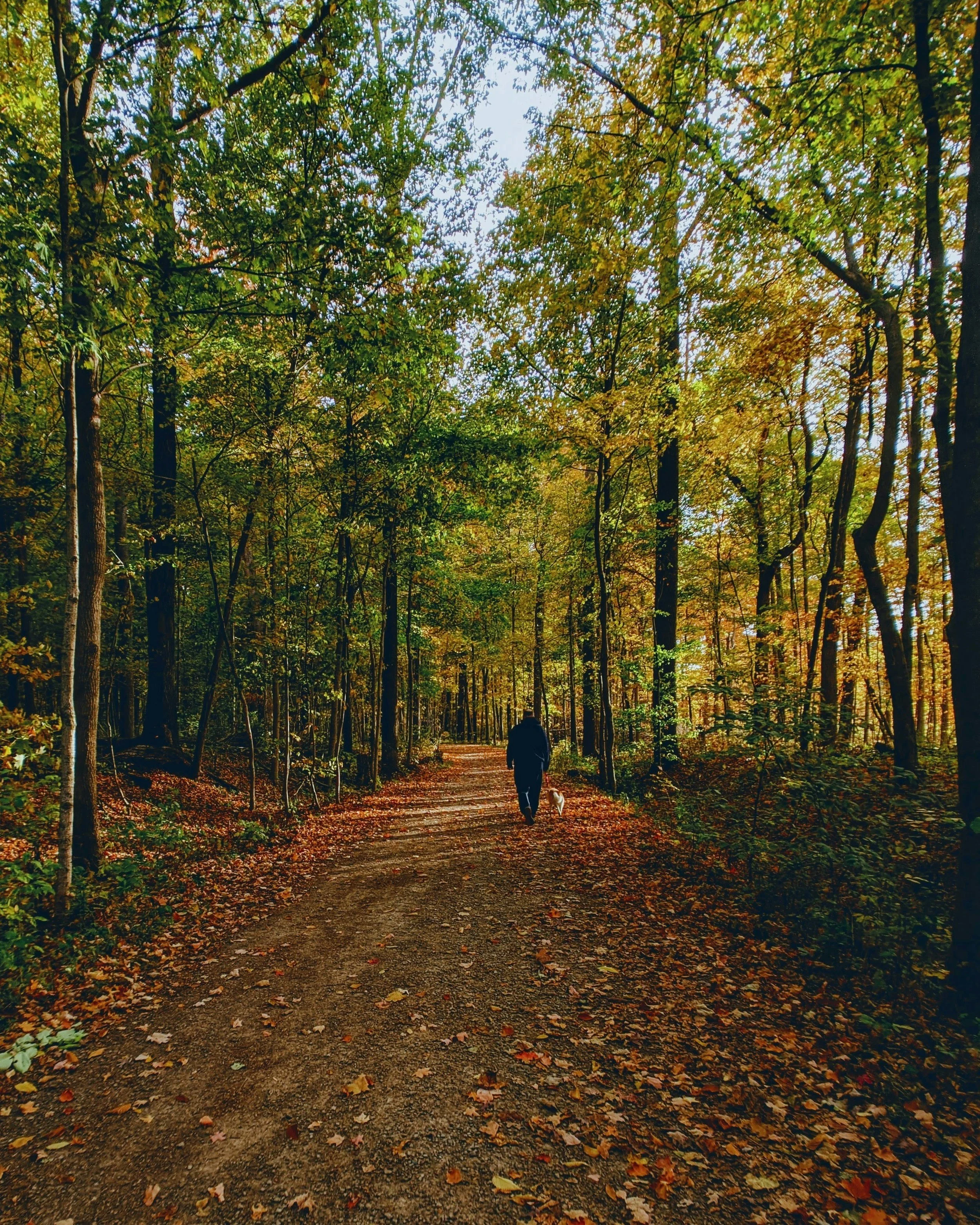 adam-bouse-9XM9ca9MIjs-unsplash (2).jpg