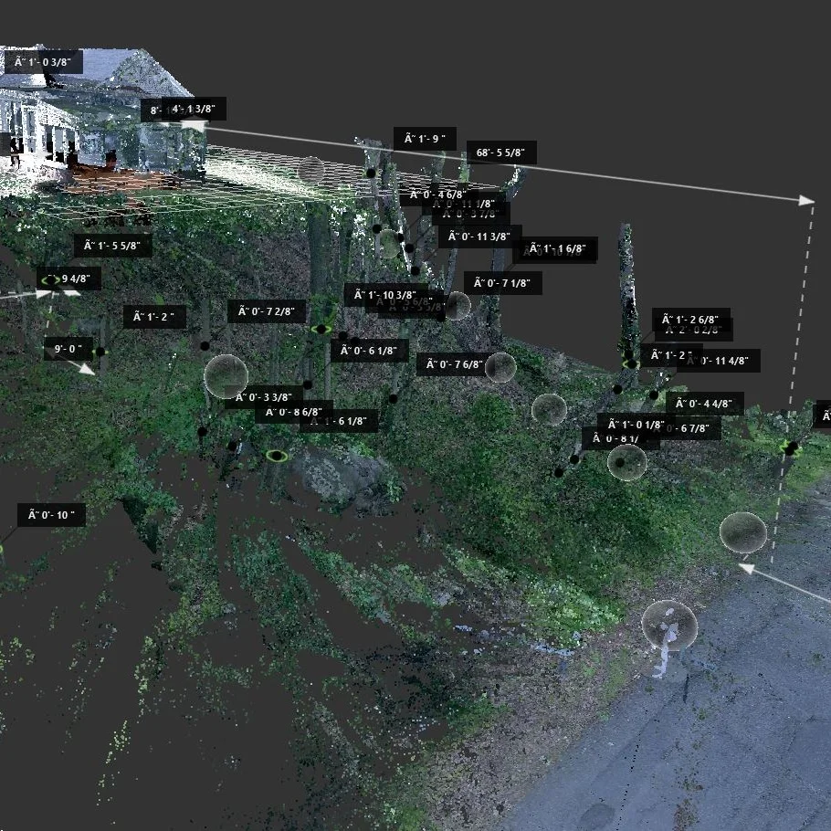 Site+Scan.jpg