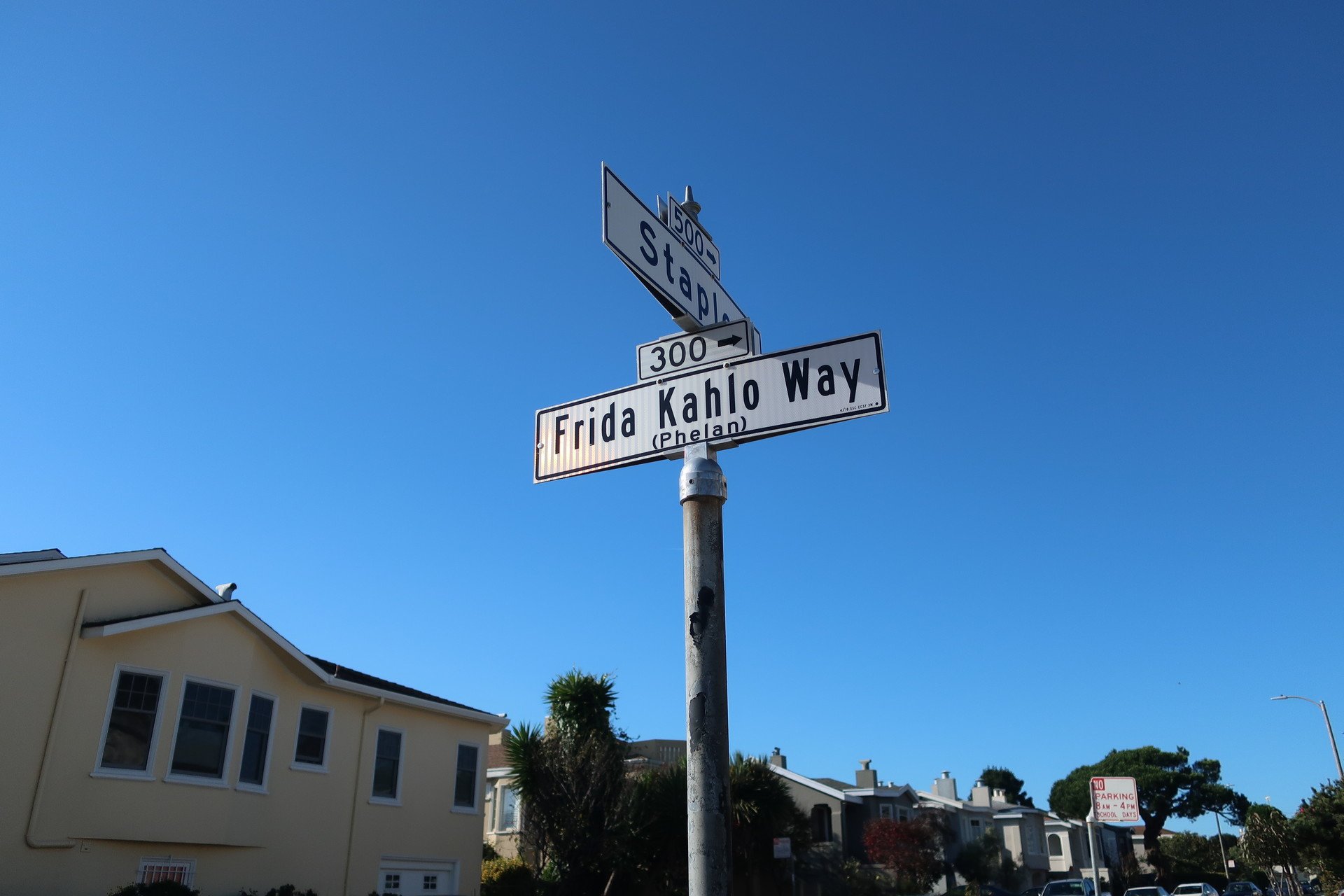 Support protected bike lanes on Frida Kahlo