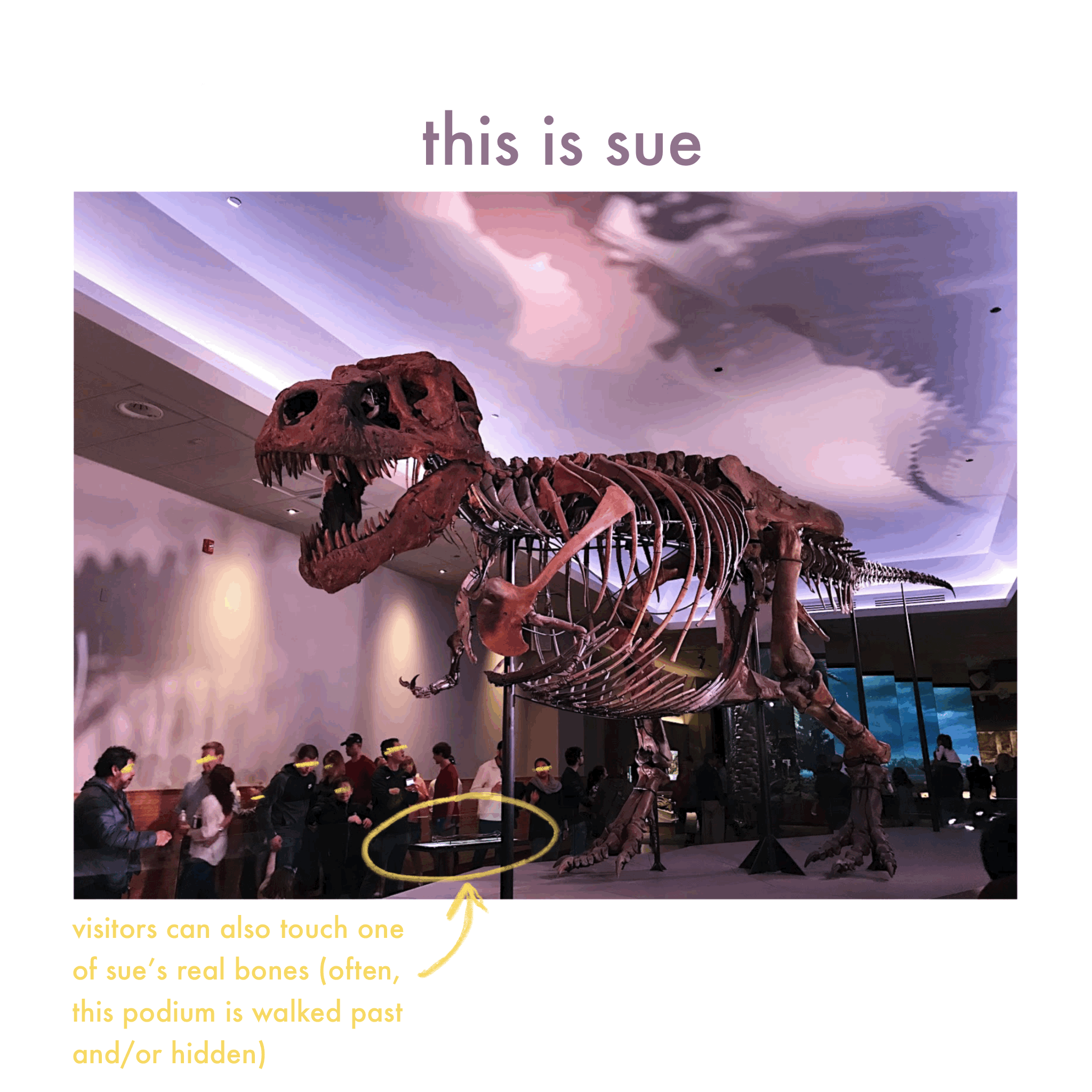Animated-GIF-Export 3.gif
