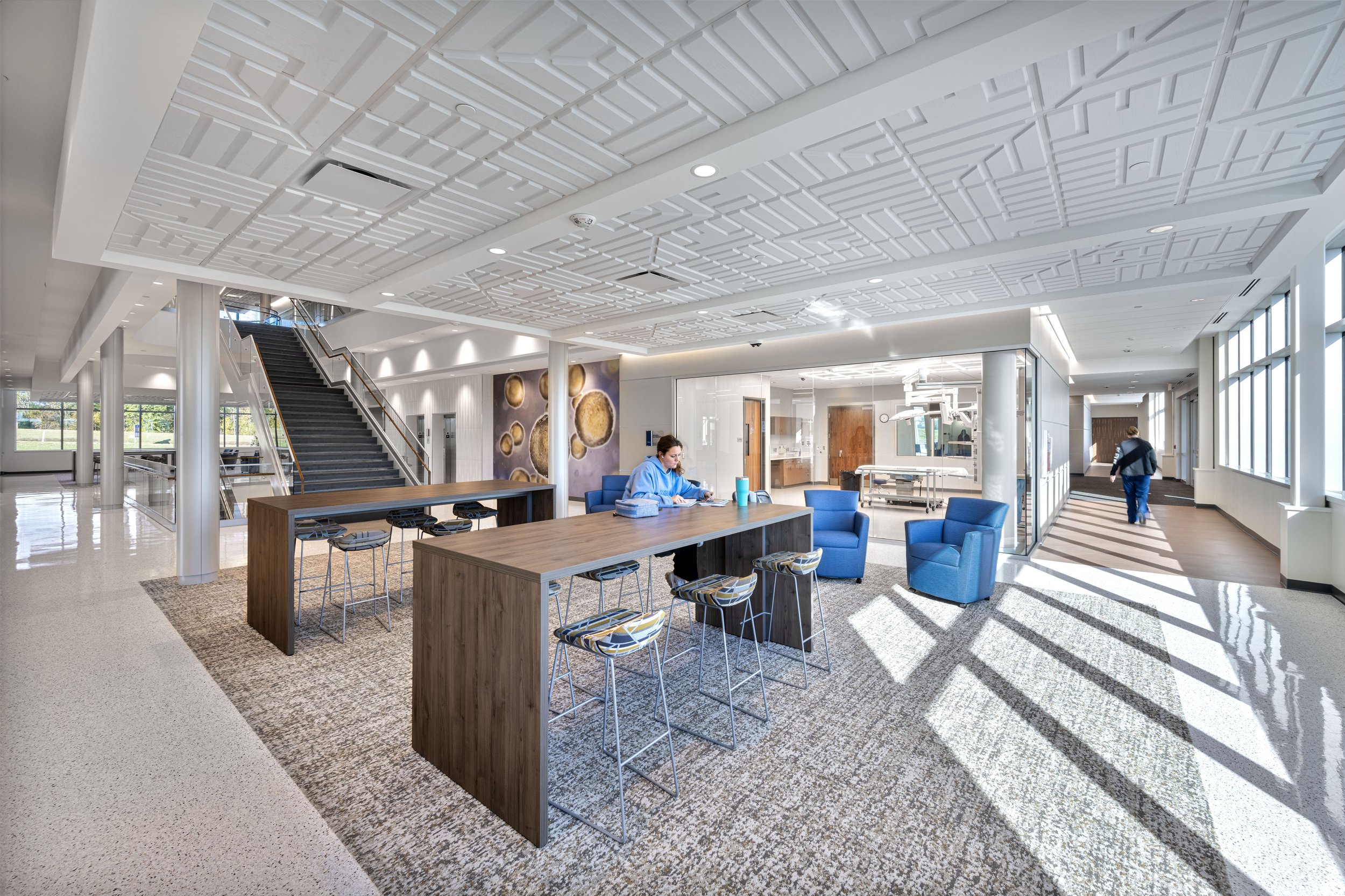 Trine Health 24 DC 7 Study w Class.jpg