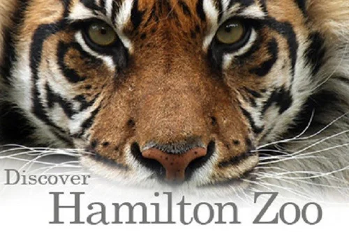 HAMILTON ZOO Hamilton Zoo is the main zoological garden of Hamilton, New Zealand. Covering 25 hectares, it is situated on Brymer Road in the Hamilton suburb of Rotokauri, on the outskirts of the metropolitan area towards the northwest. 
