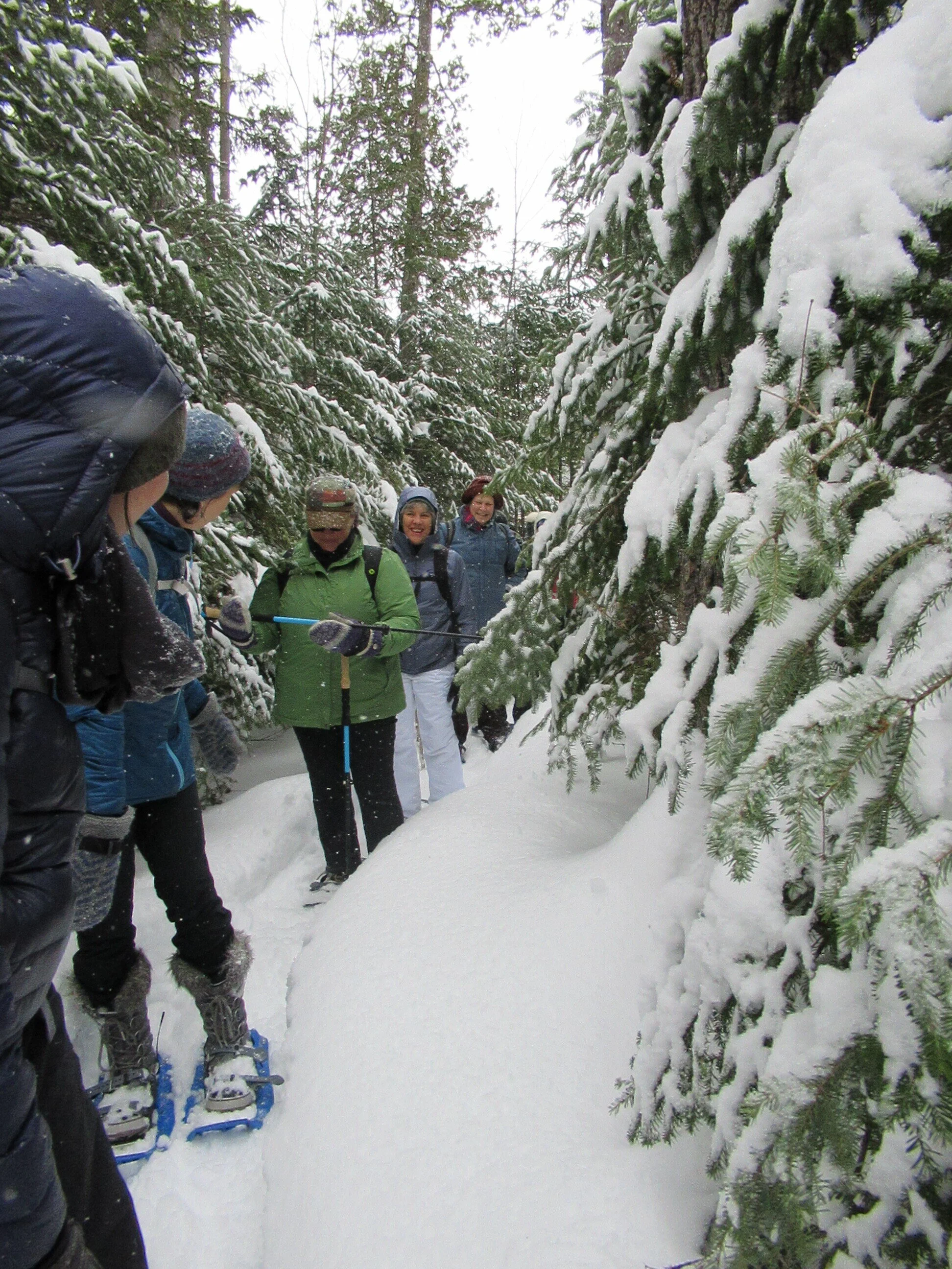 Day-Yoga &amp; Snowshoe (Camden)