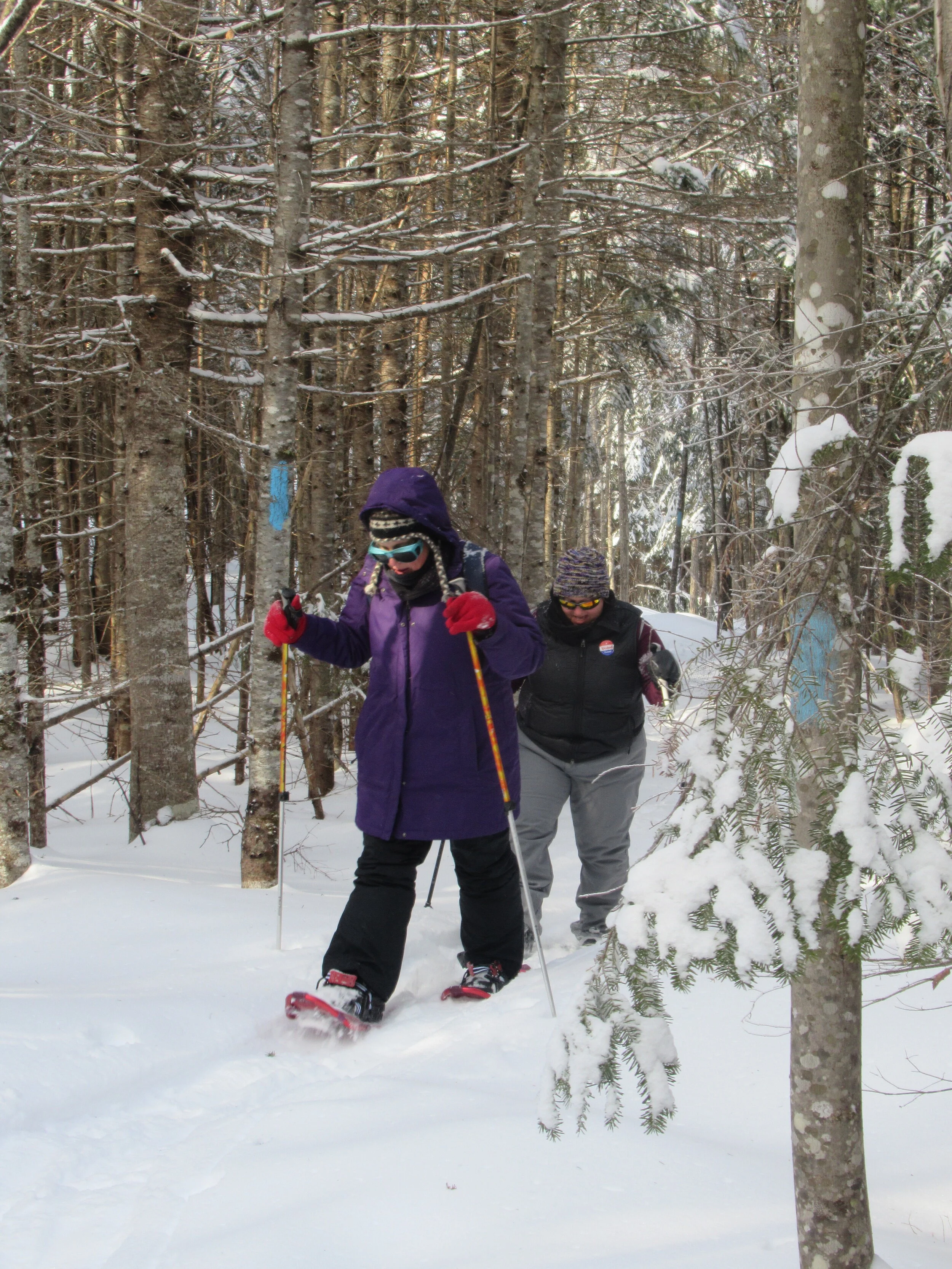 Day-Yoga &amp; Snowshoe (Topsham)