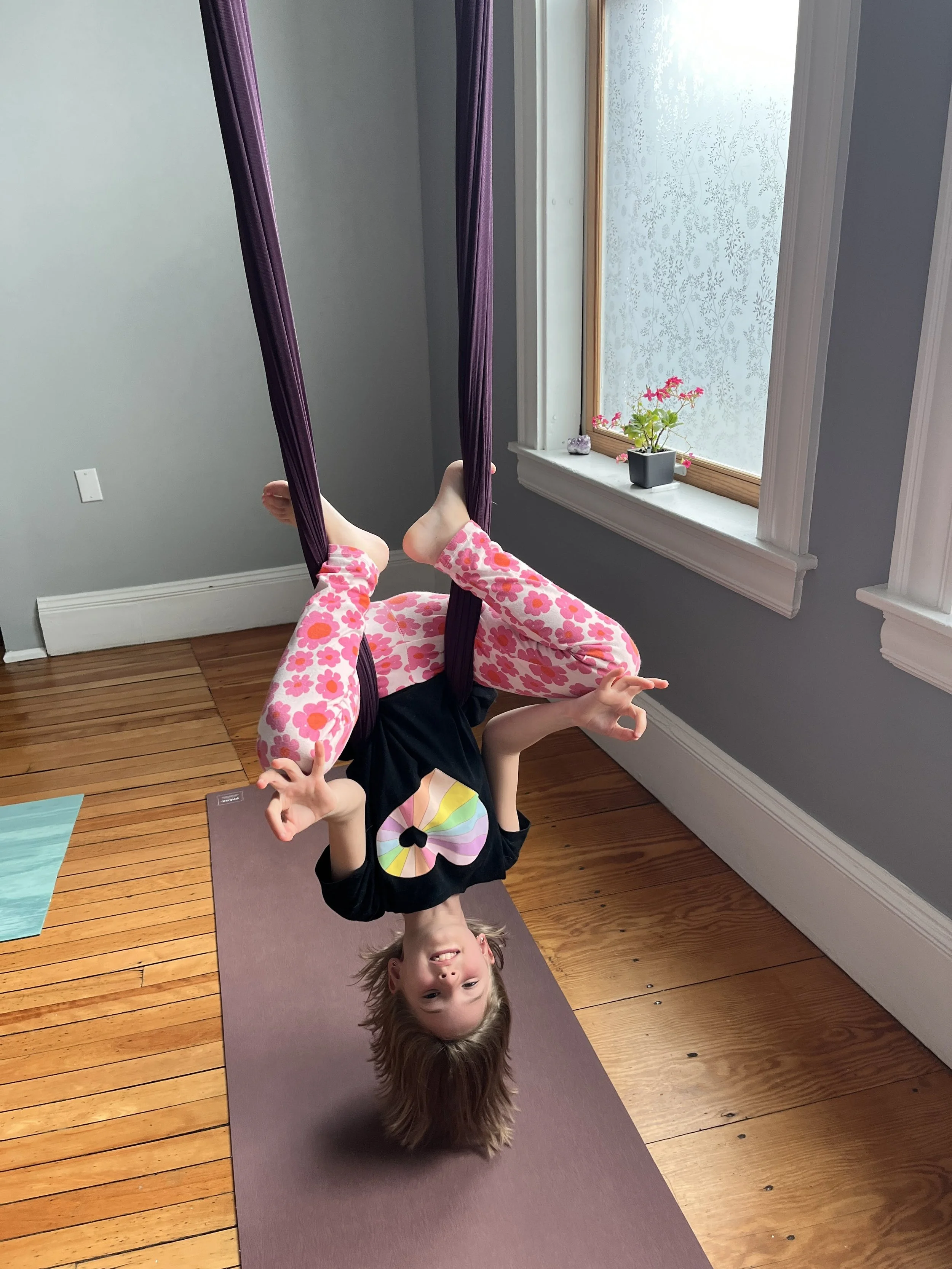 Aerial Yoga : Me &amp; My Pal 