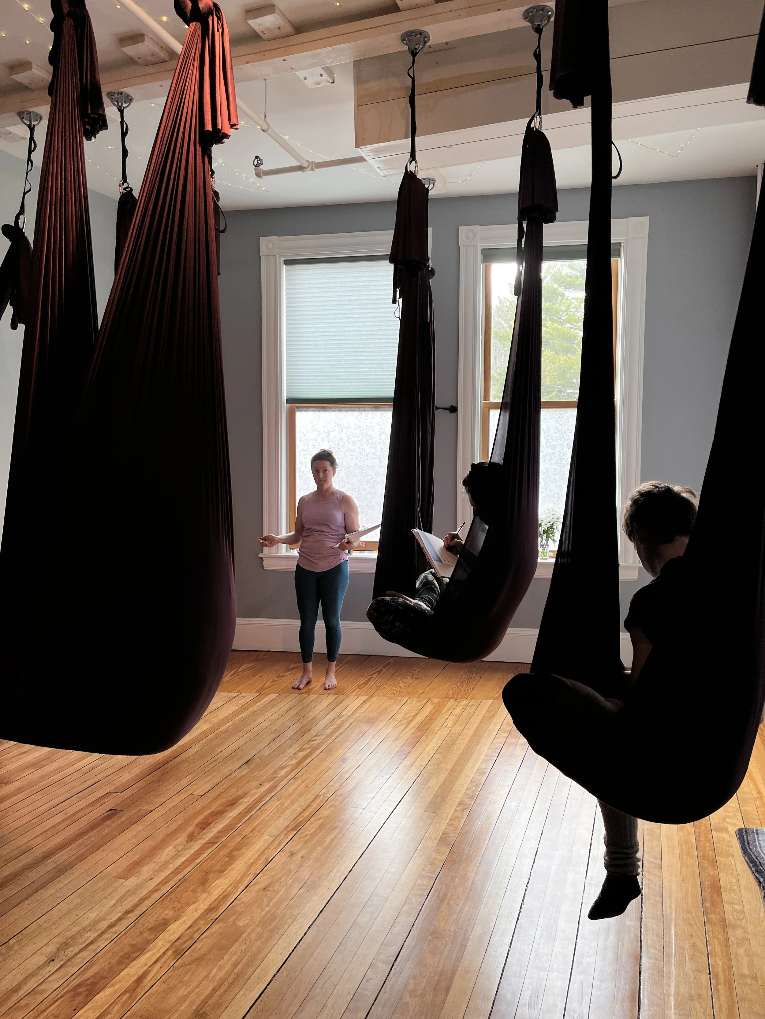 Aerial Yoga Teacher Training Level 1