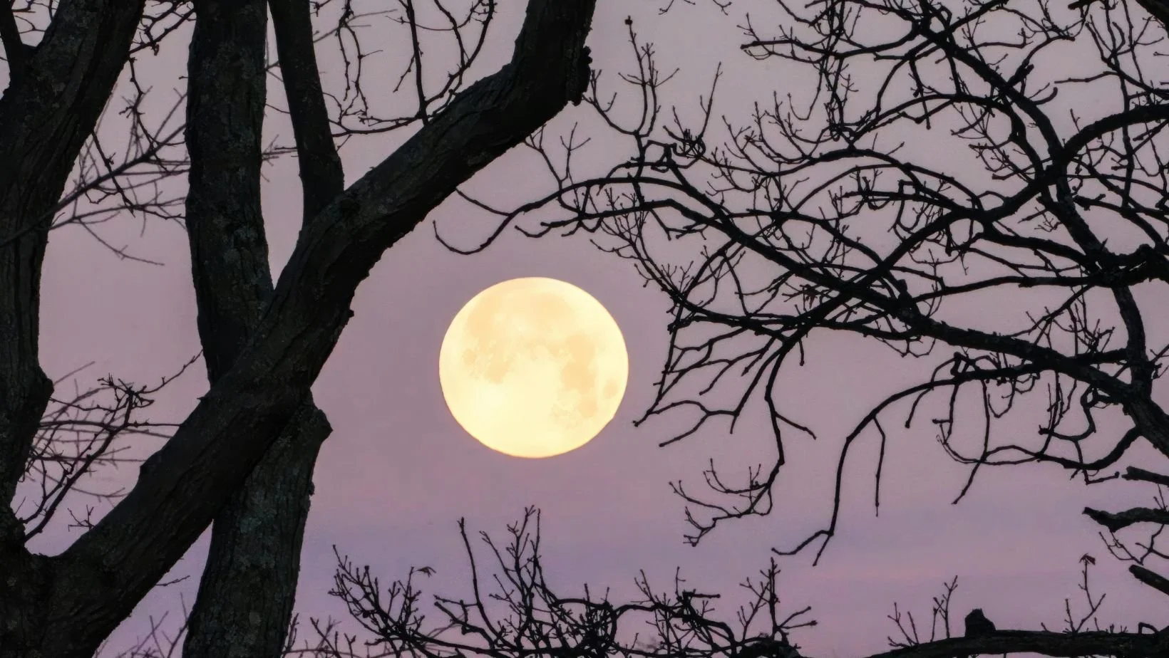 Women's Full Moon Gathering