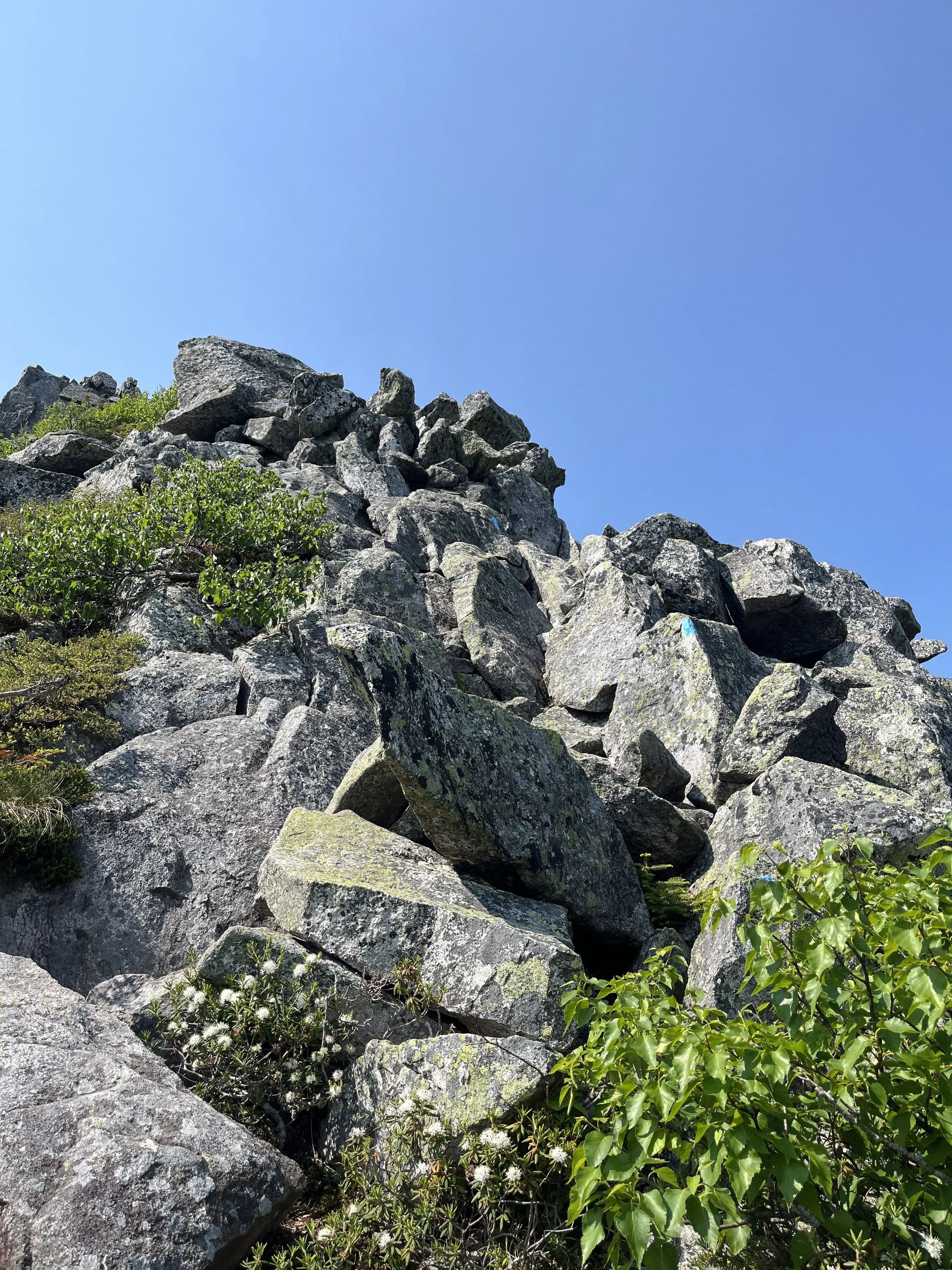 IMG_6547.JPG