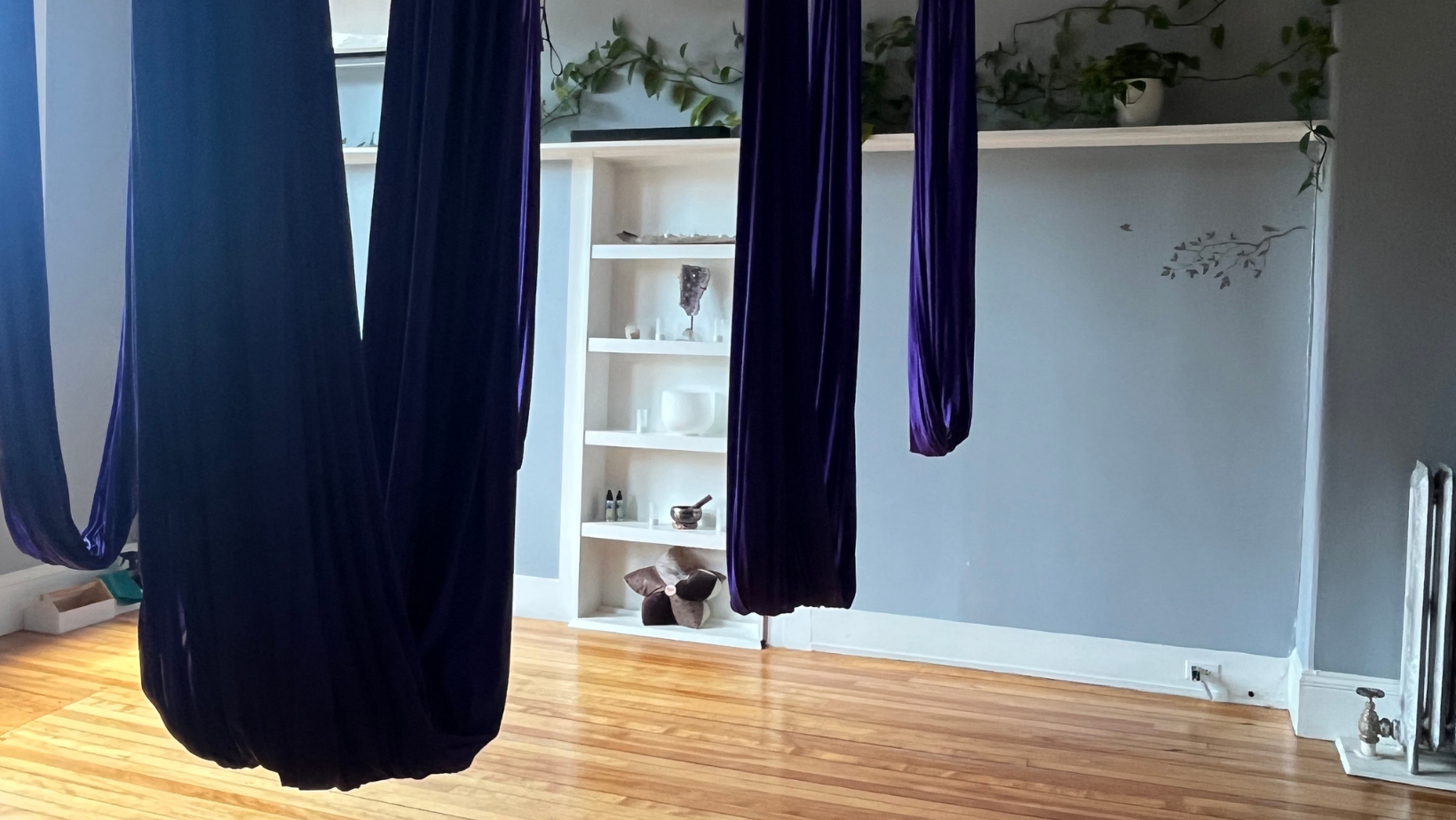 Fundraiser Aerial Class- Fly For Community!