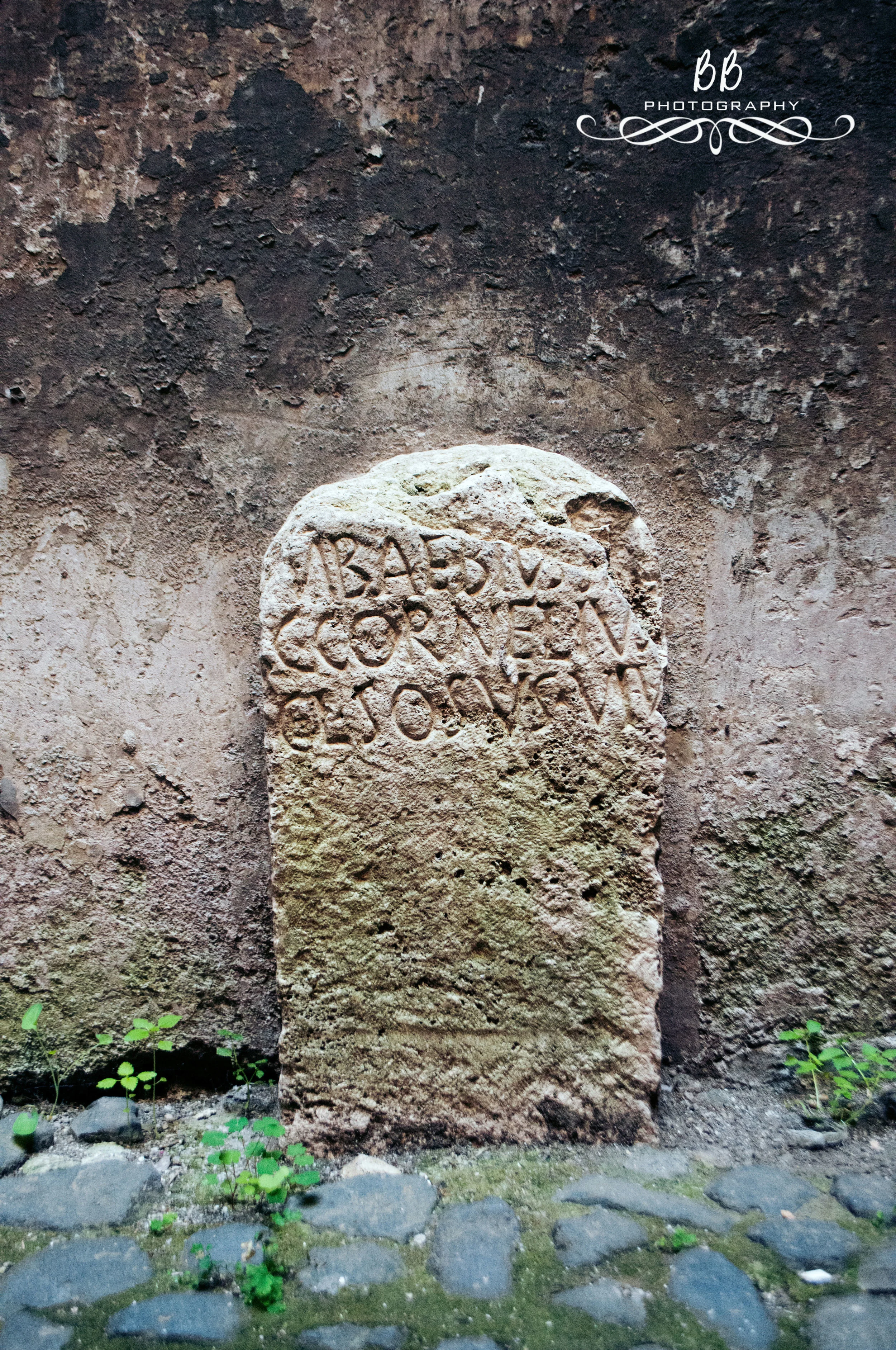 DSC_1947.jpg