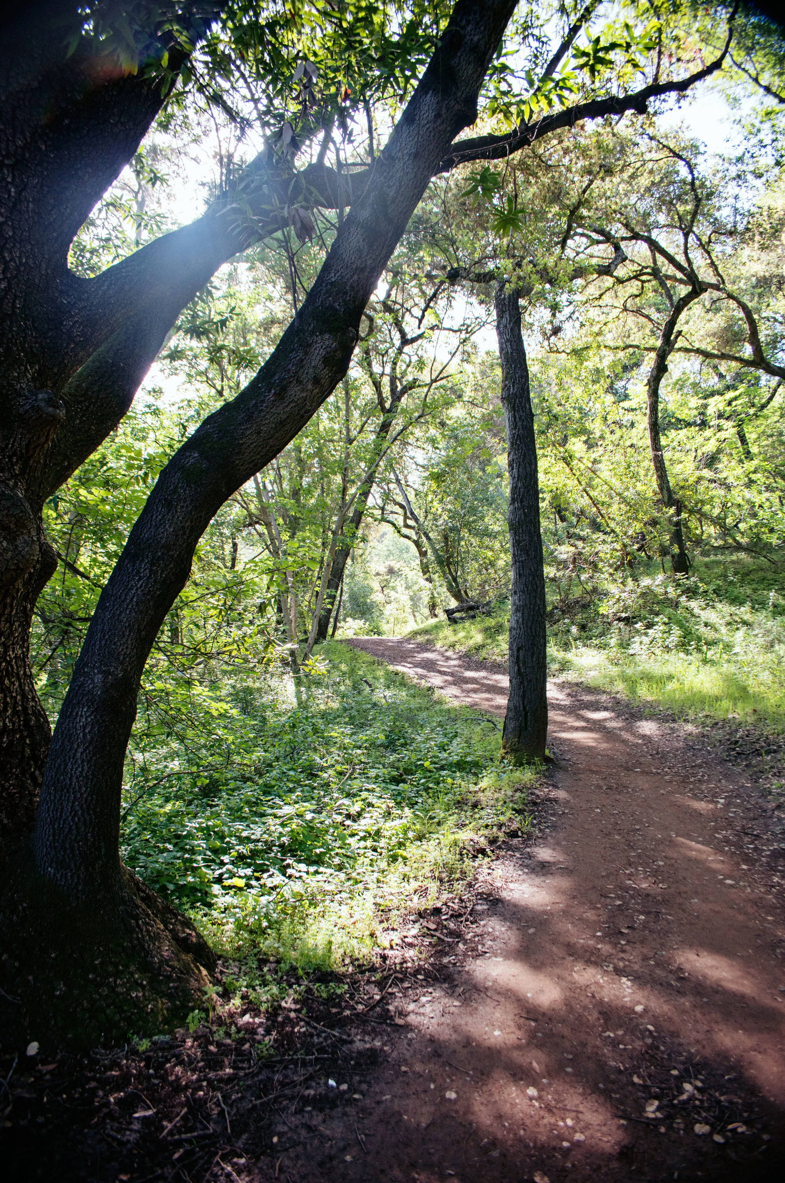 DSC_8748.jpg