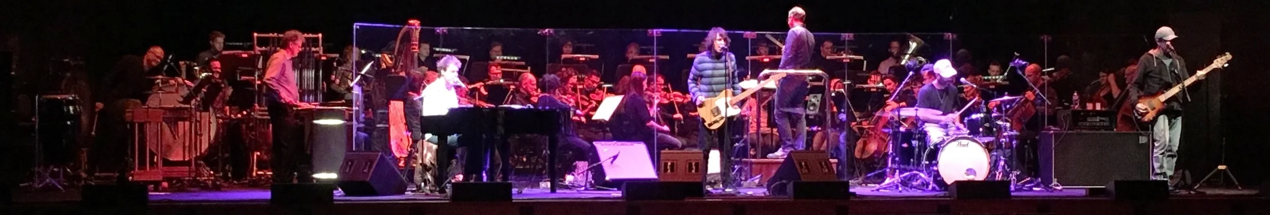 The Whitlams with the Melbourne Symphony Orchestra