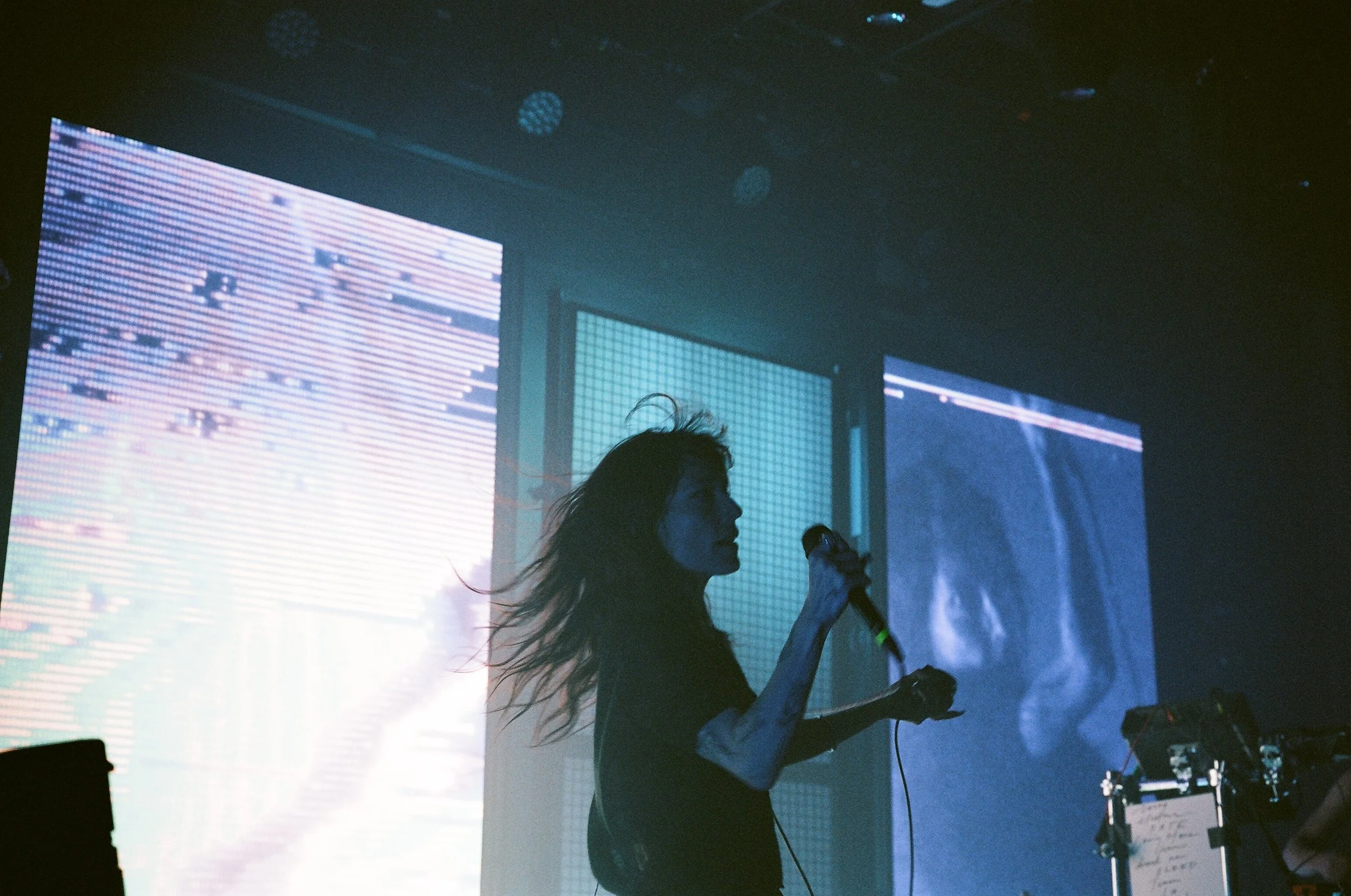 37810029.JPG
