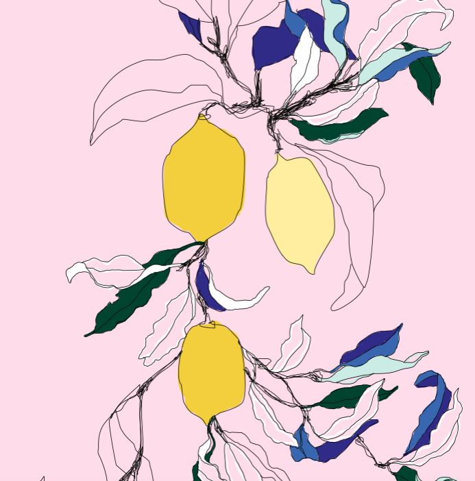 Screen Shot 2017-02-06 at 19.04.20.png