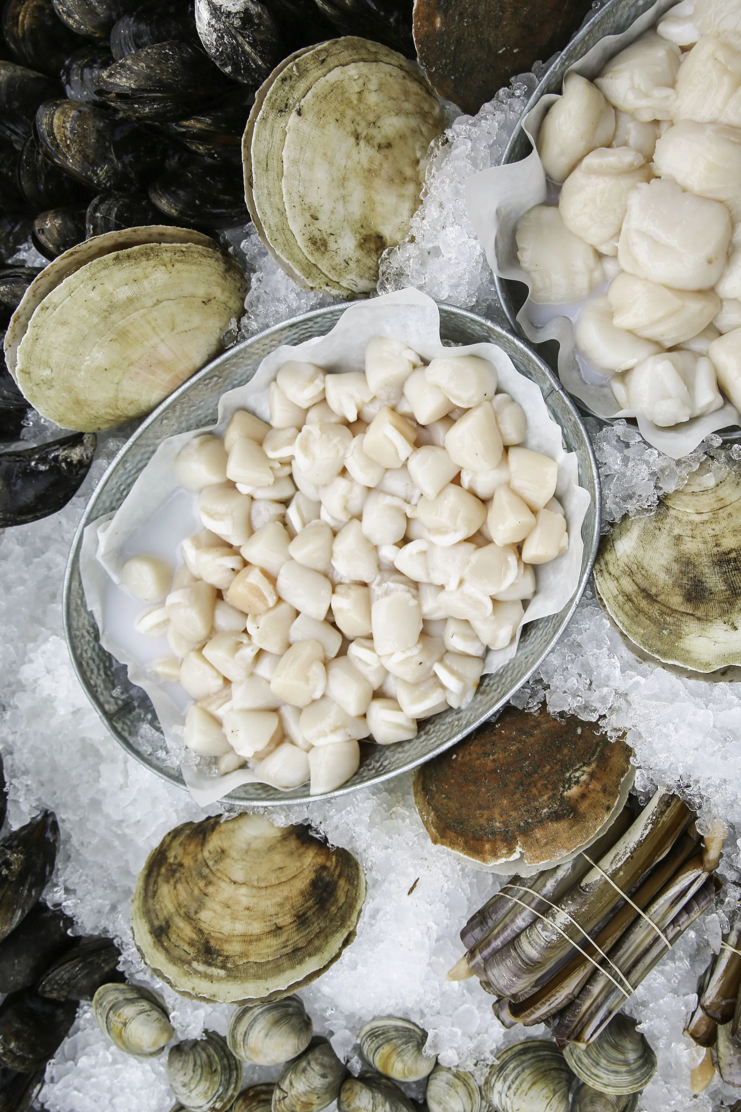 katiejuneburton_ediblebk-1.jpg
