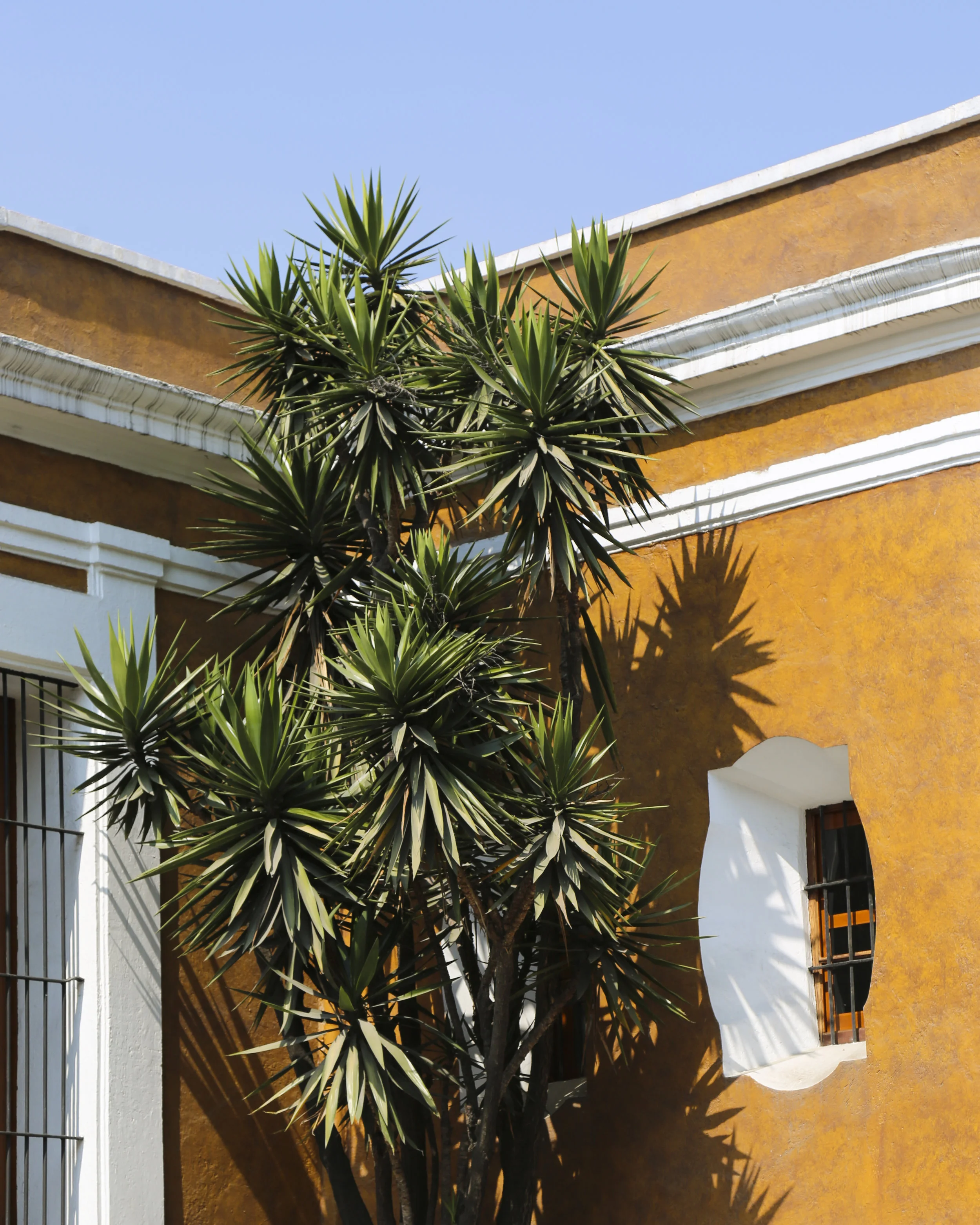 katiejuneburton_mexico-1.jpg
