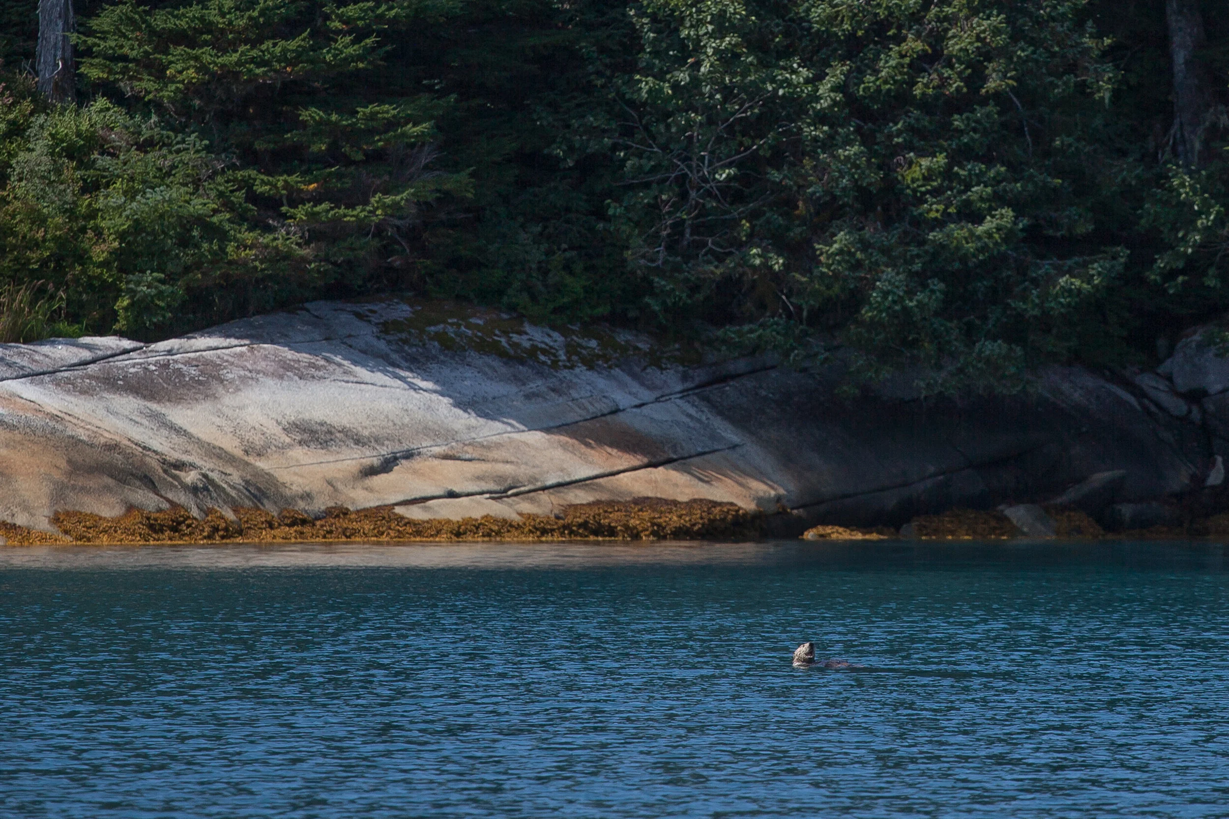 alaska071w.jpg