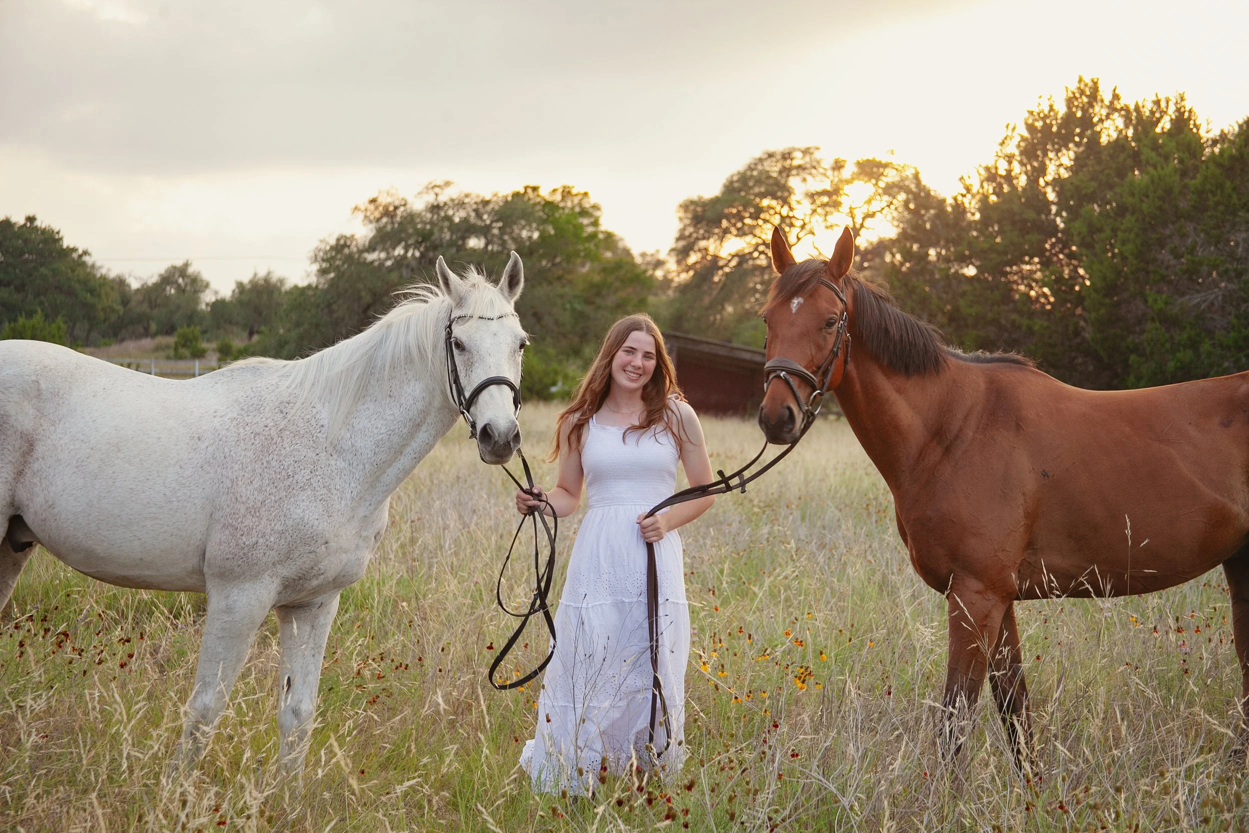 clairehorses273.jpg