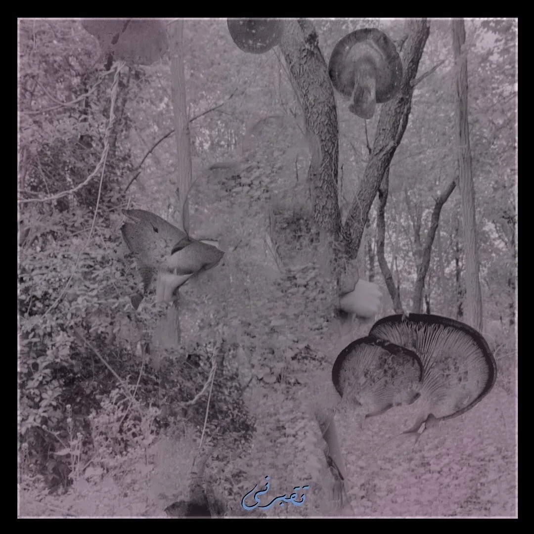 Jess Farran Scarf Photographer NYC