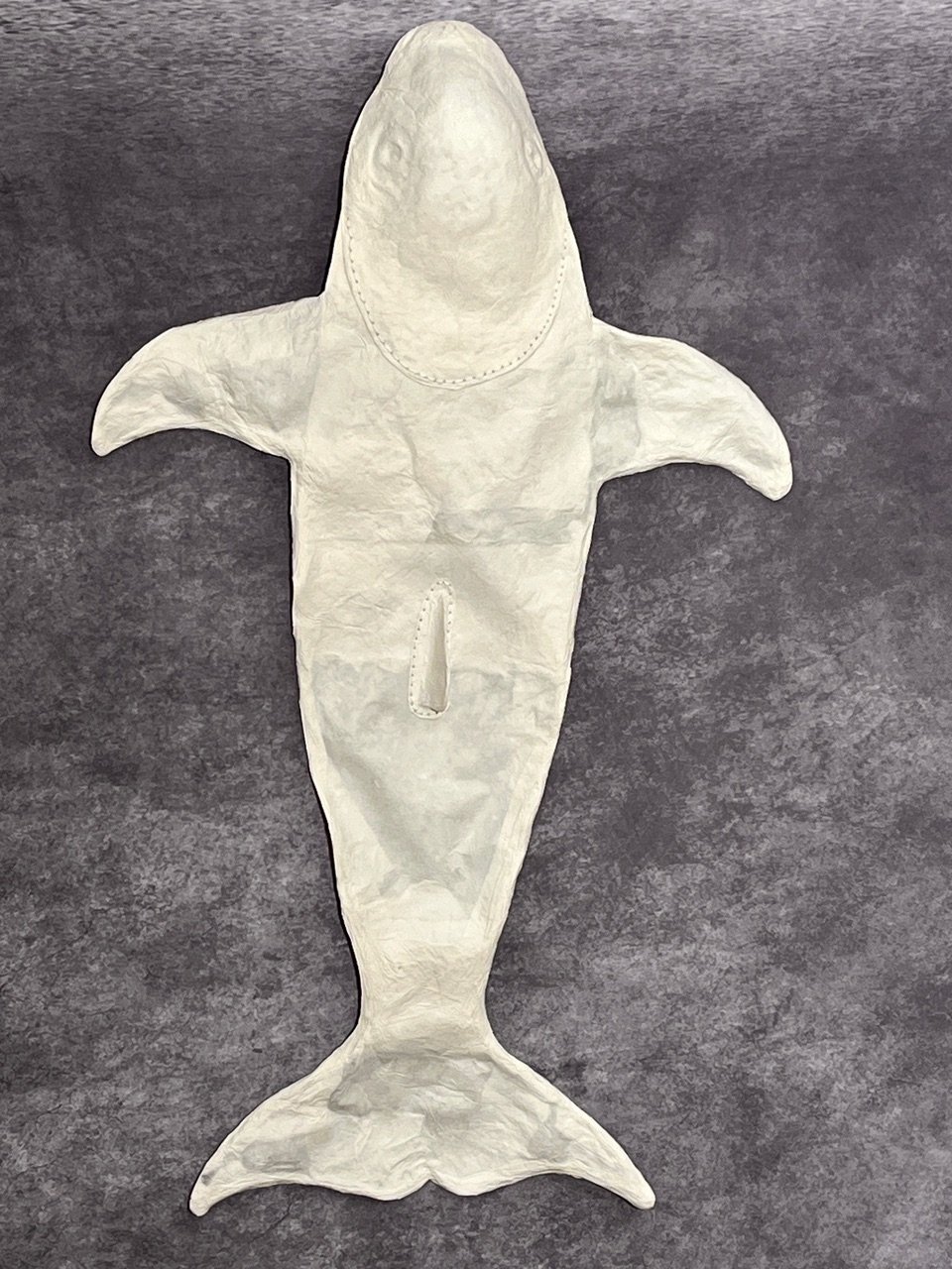 Vaquita