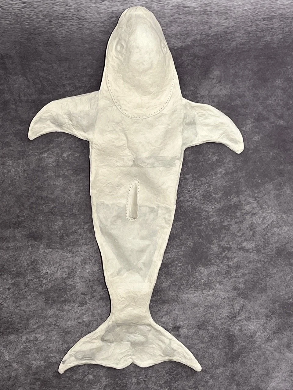 Vaquita.jpeg